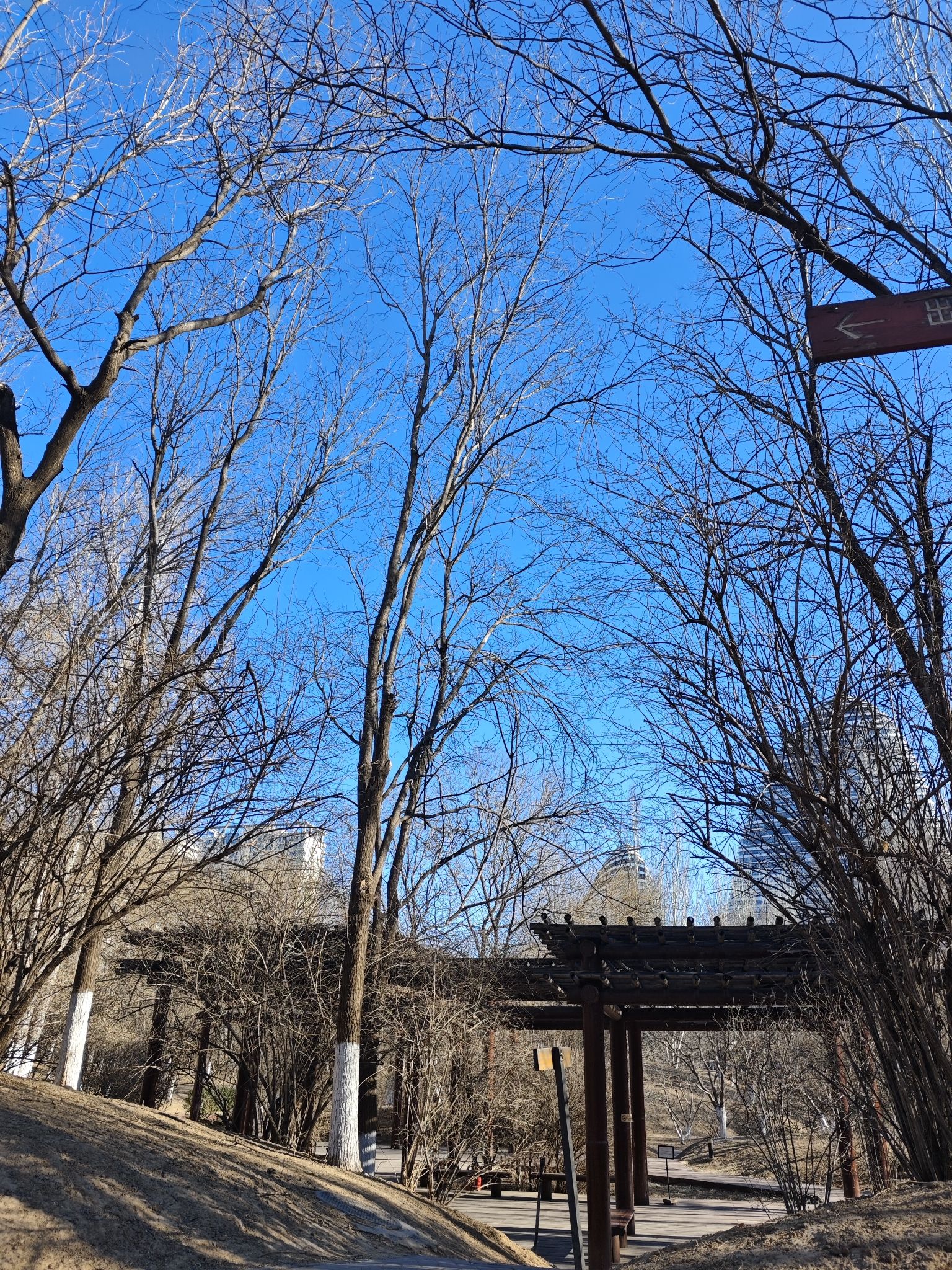 望京伯爵城中央公园旅行图片 2