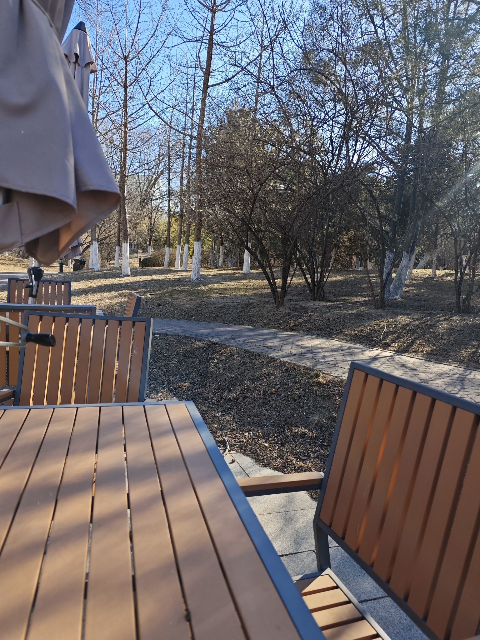 望京伯爵城中央公园旅行图片 3