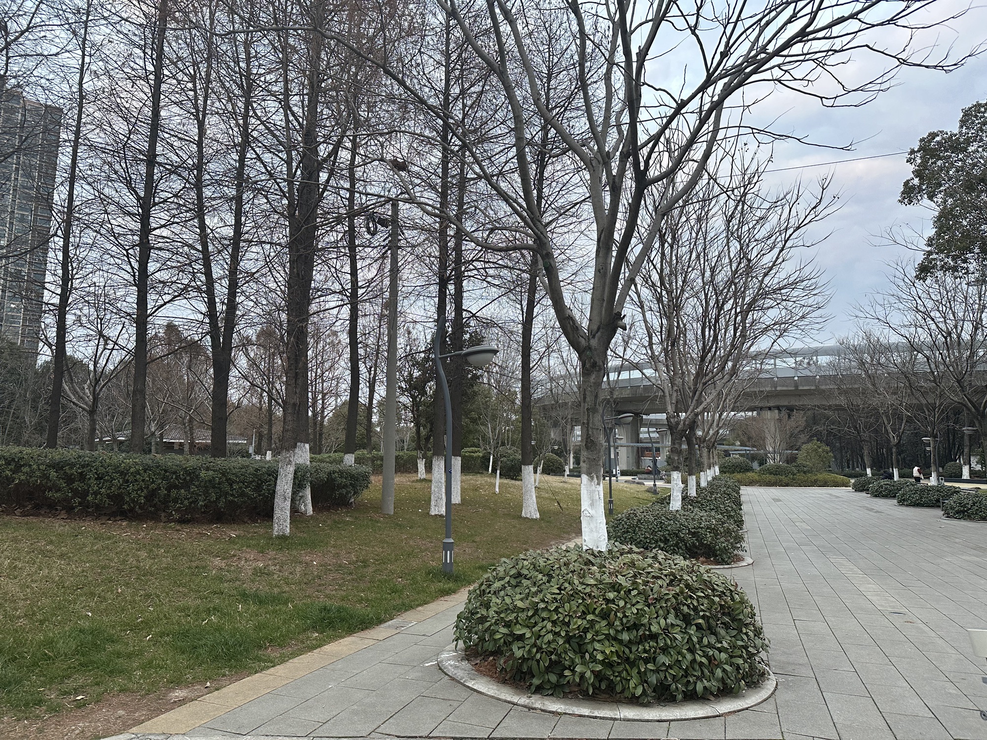 景云海绵游园旅行图片 2