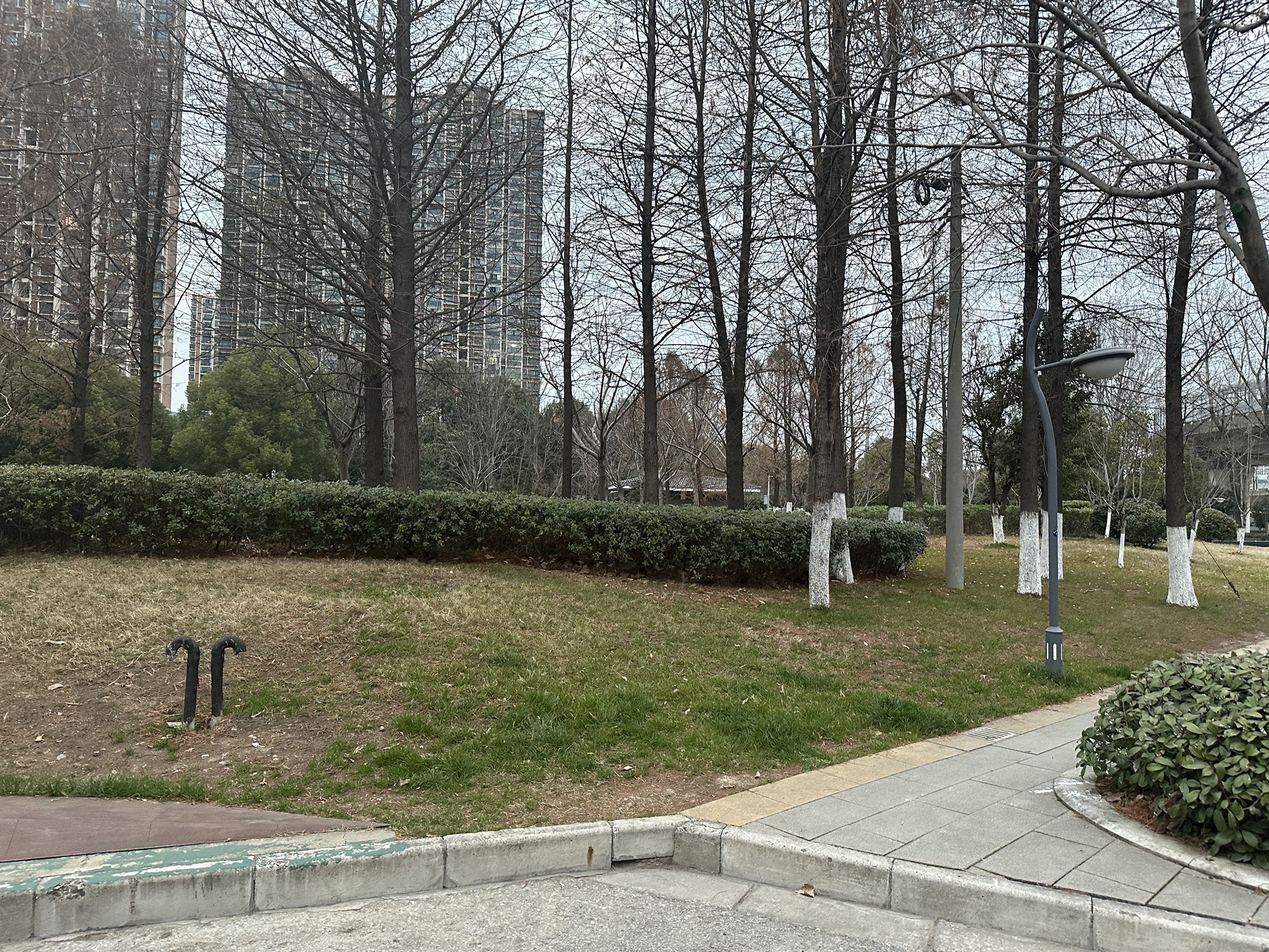 景云海绵游园旅行图片 3