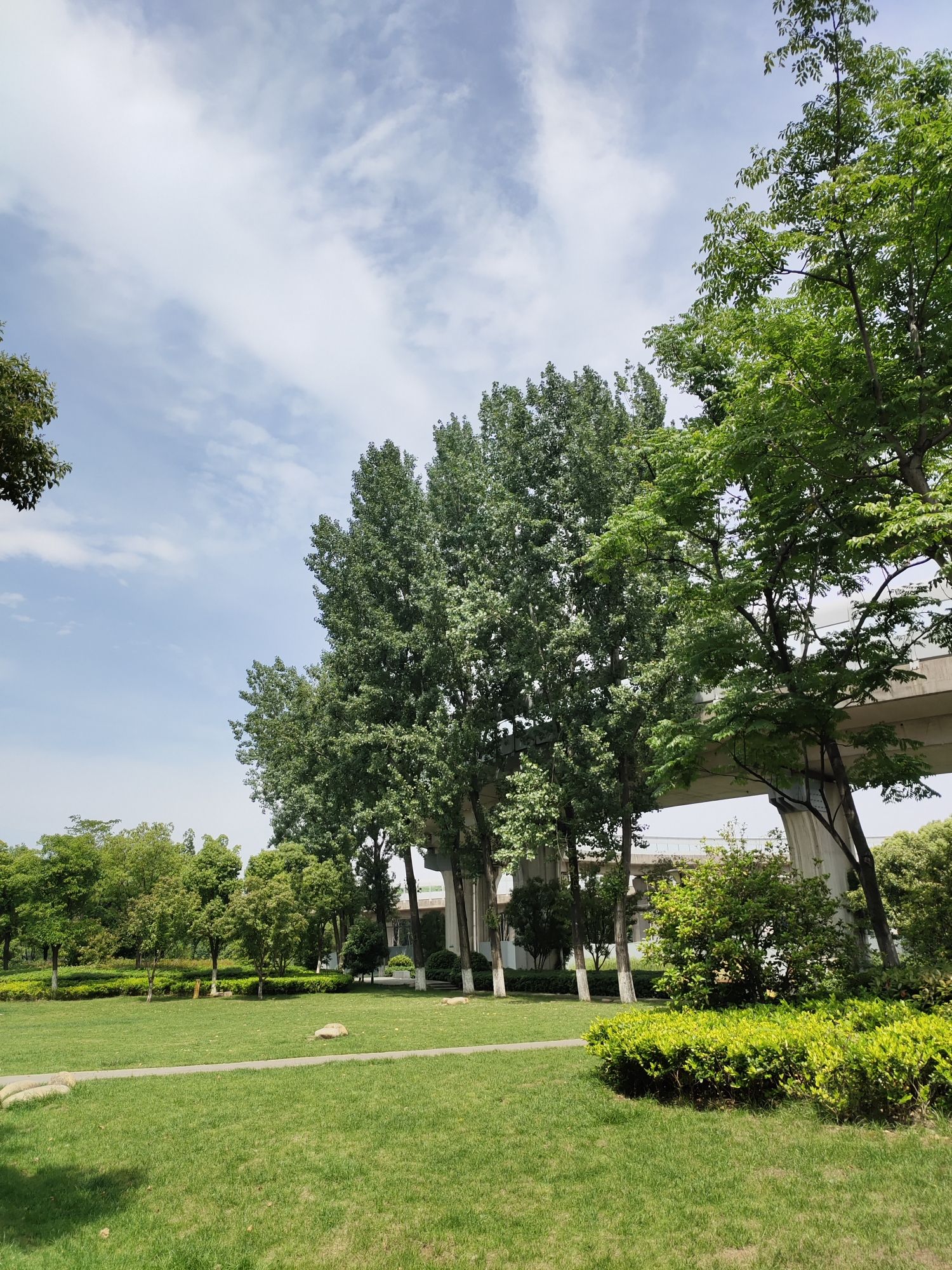 景云海绵游园旅行图片 3