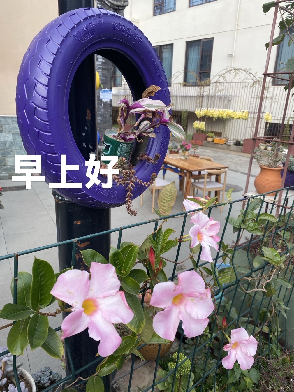 沐歌小镇旅行图片 3