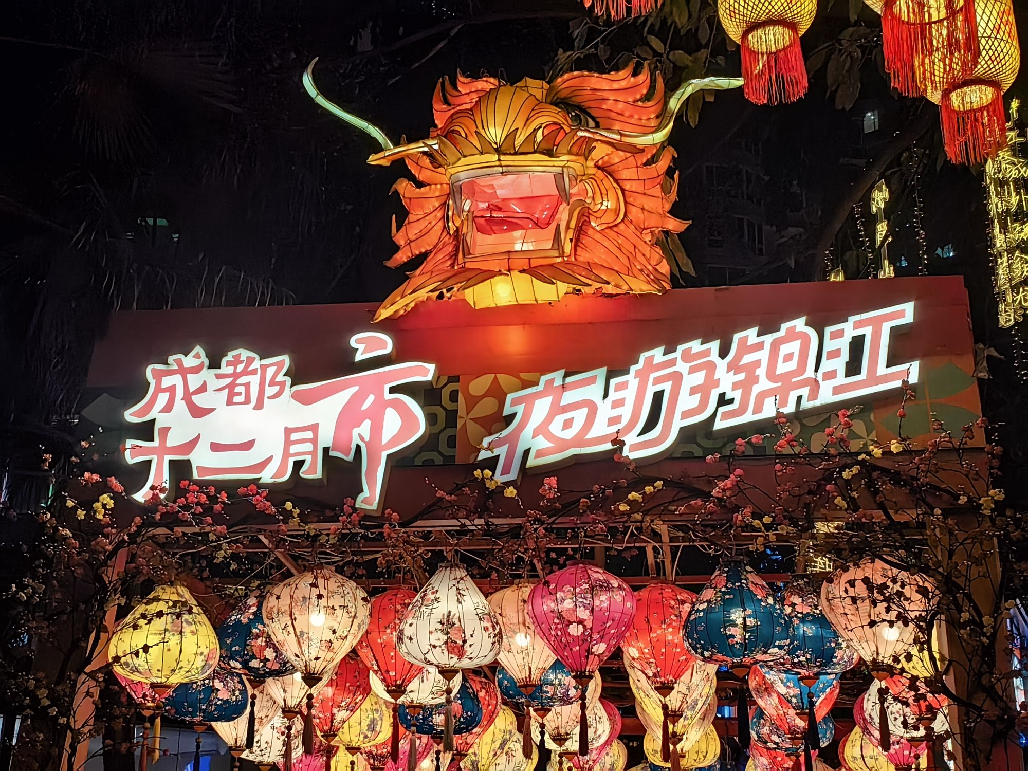 夜游锦江(东门码头)旅行图片 1