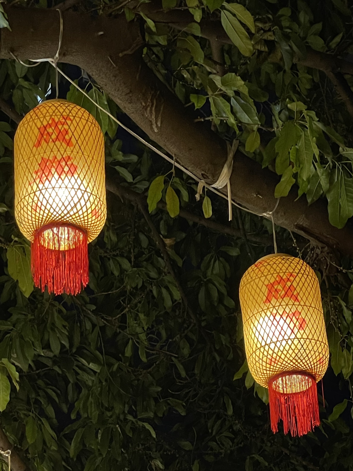 夜游锦江(东门码头)旅行图片 2