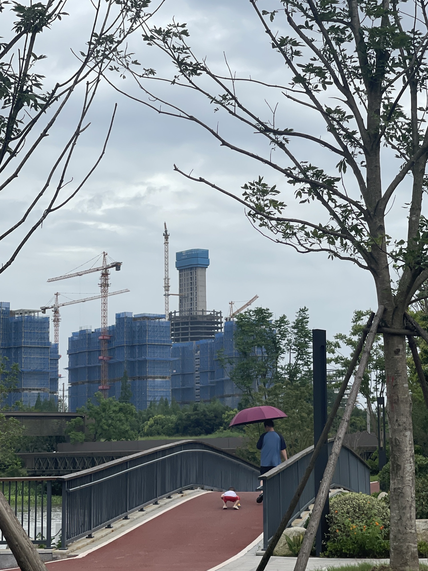 白水塘公园旅行图片 2