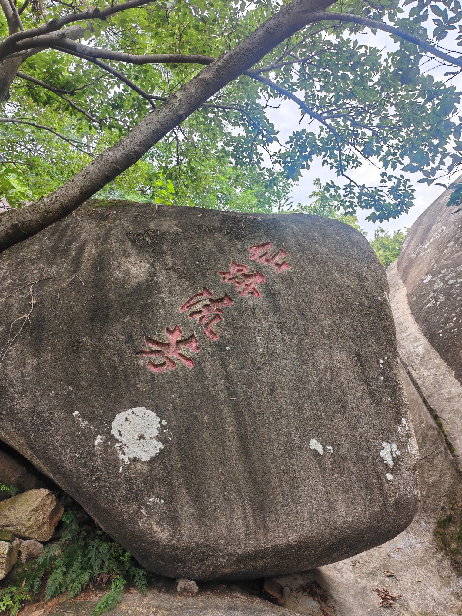仙公山青狮古洞旅行图片 2