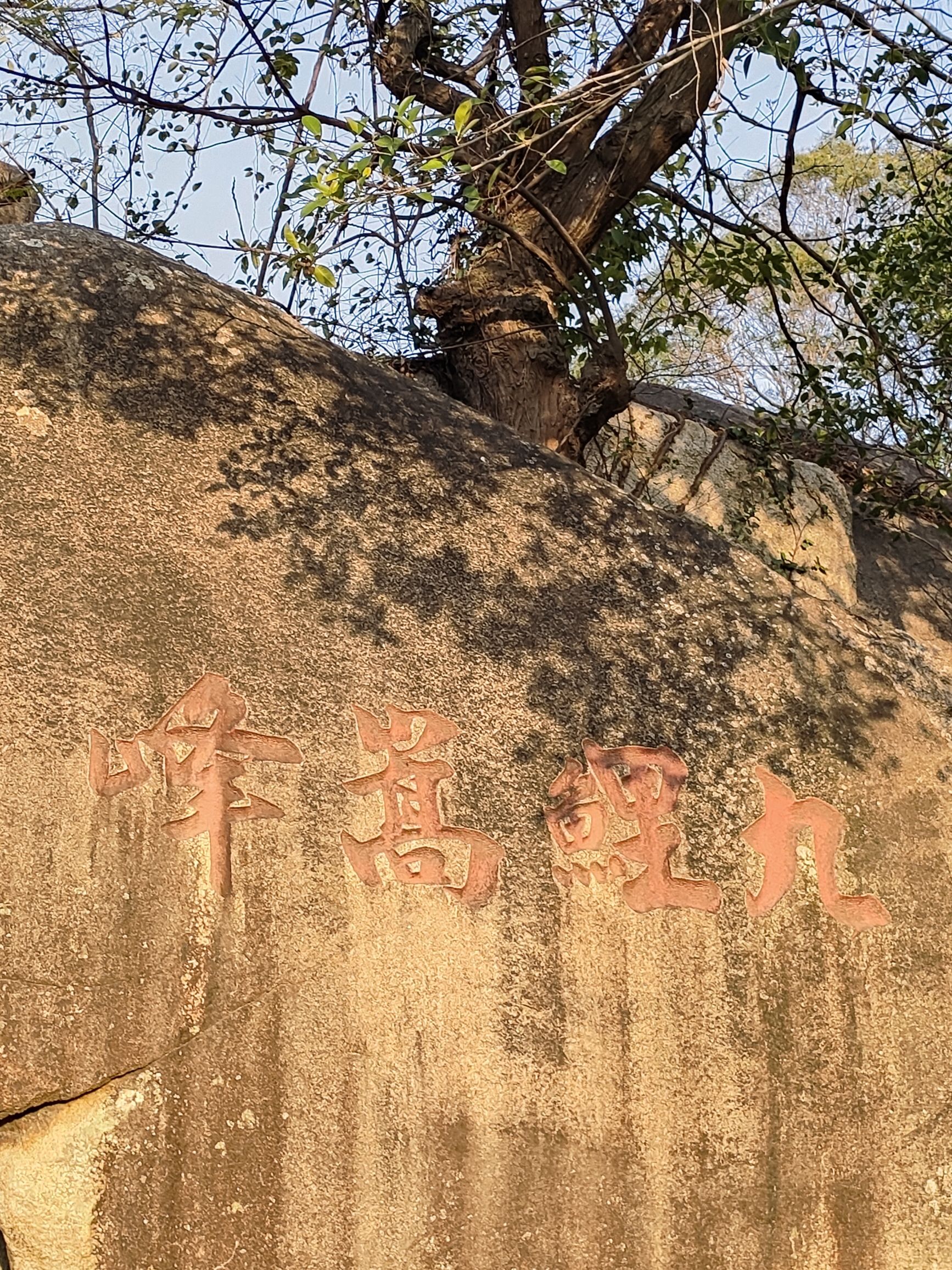 仙公山青狮古洞旅行图片 3