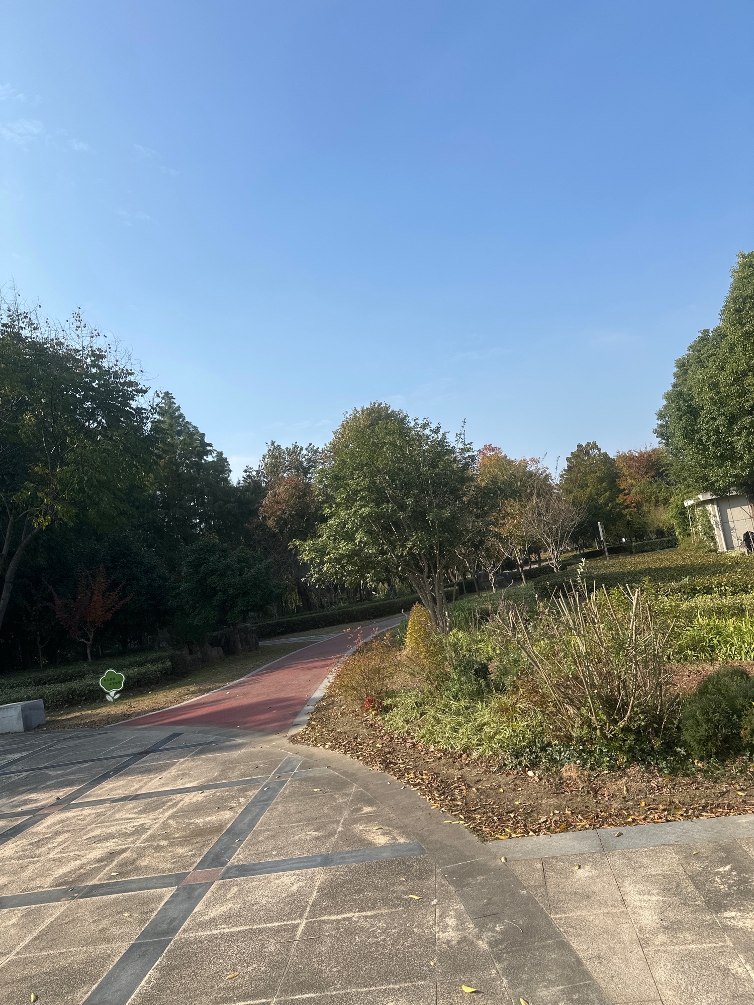 黄马生态湿地公园旅行图片 2