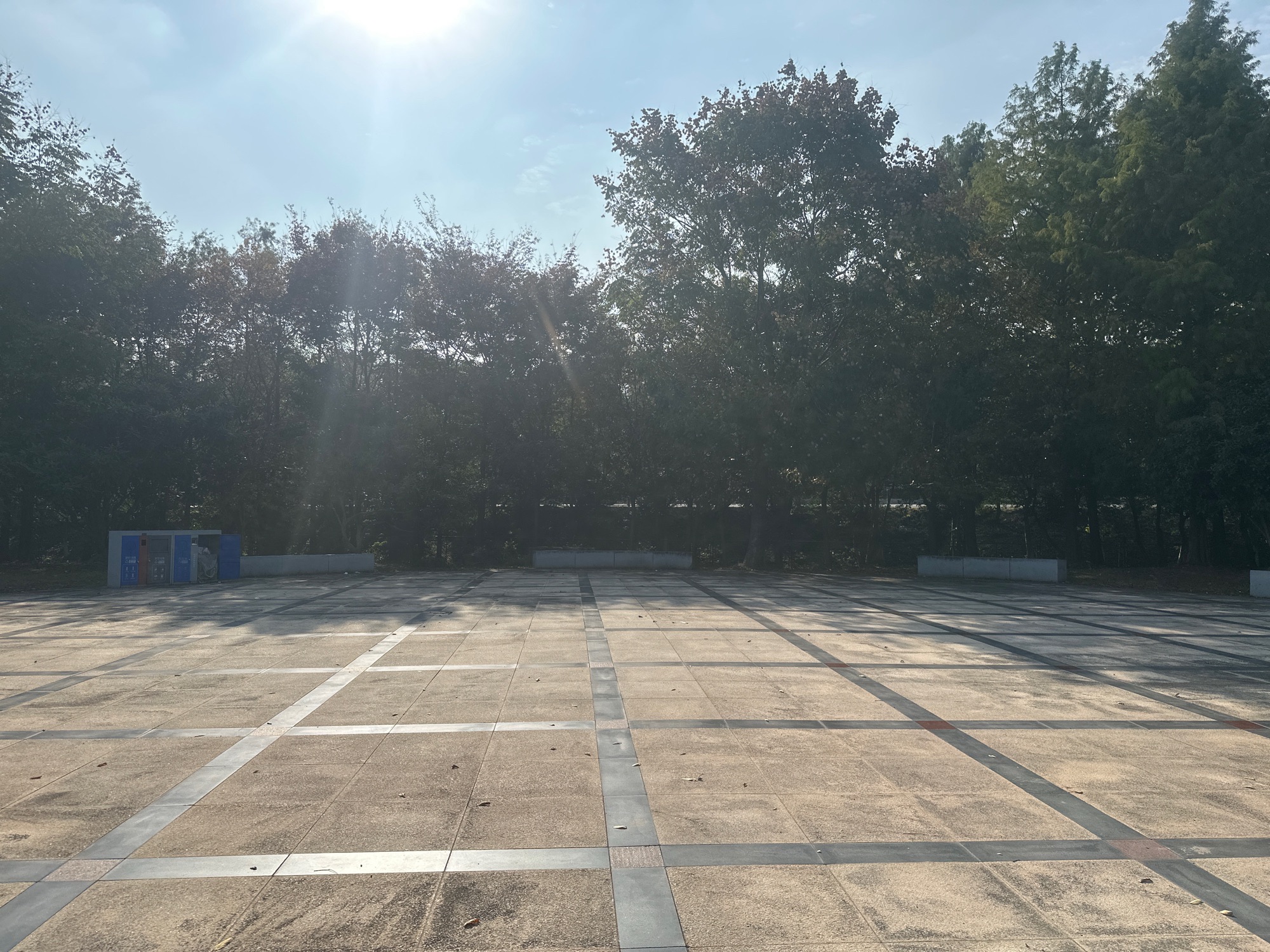 黄马生态湿地公园旅行图片 3