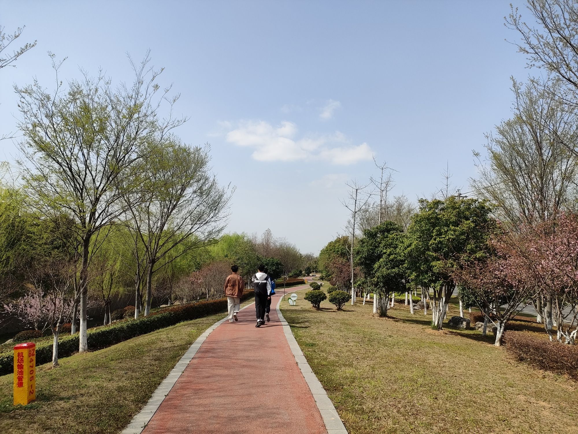 黄马生态湿地公园旅行图片 1