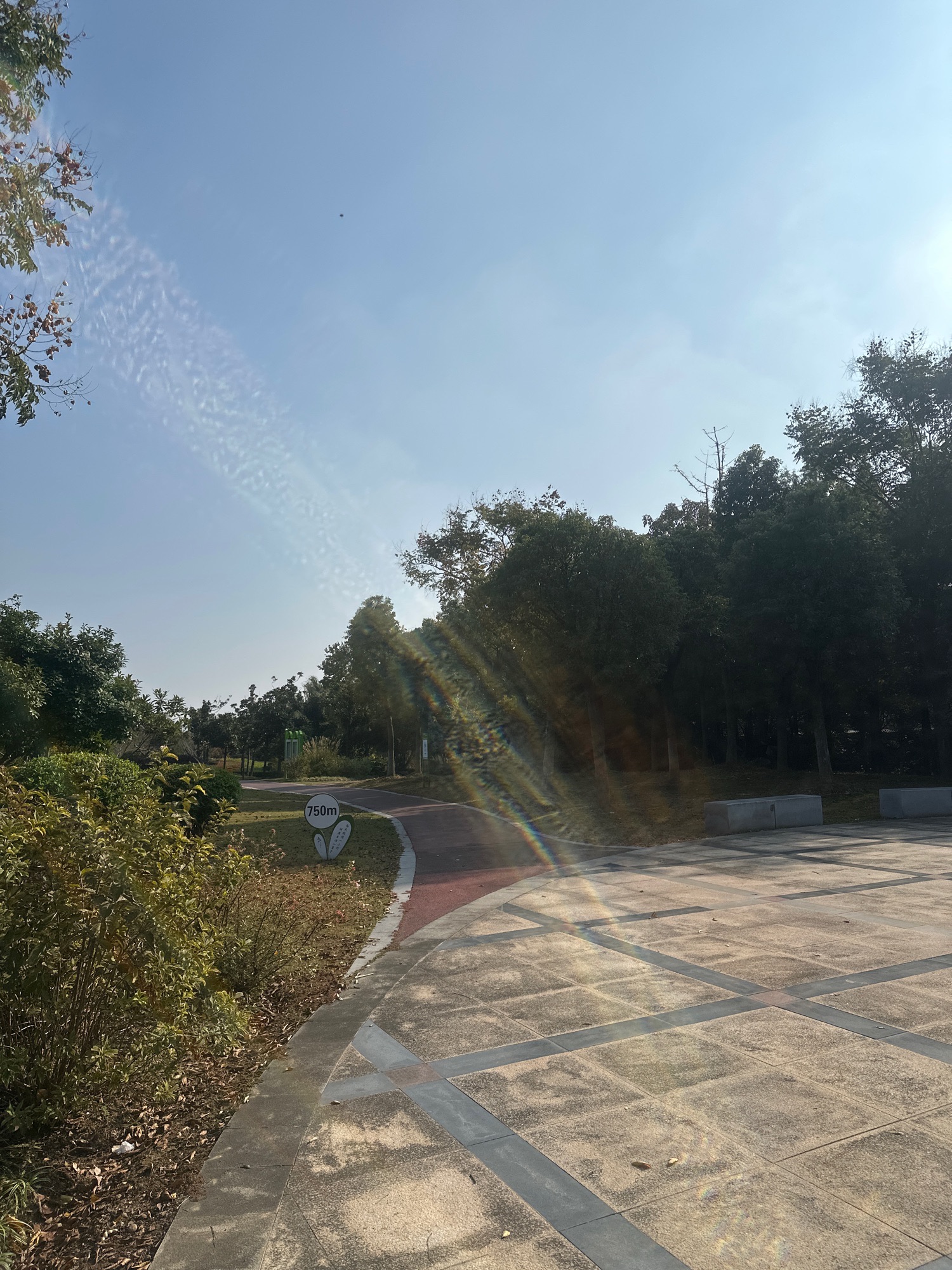 黄马生态湿地公园旅行图片 1