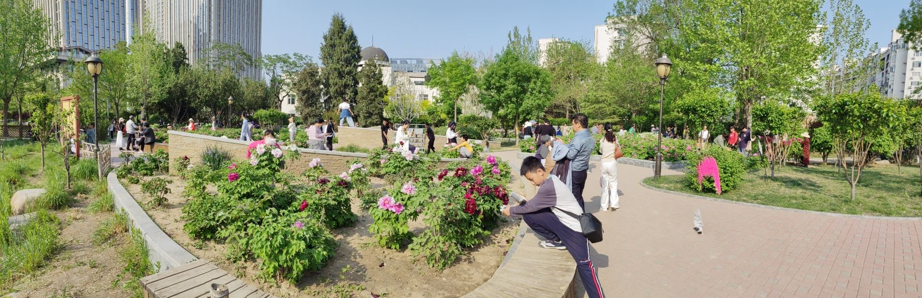 河滨公园旅行图片 2