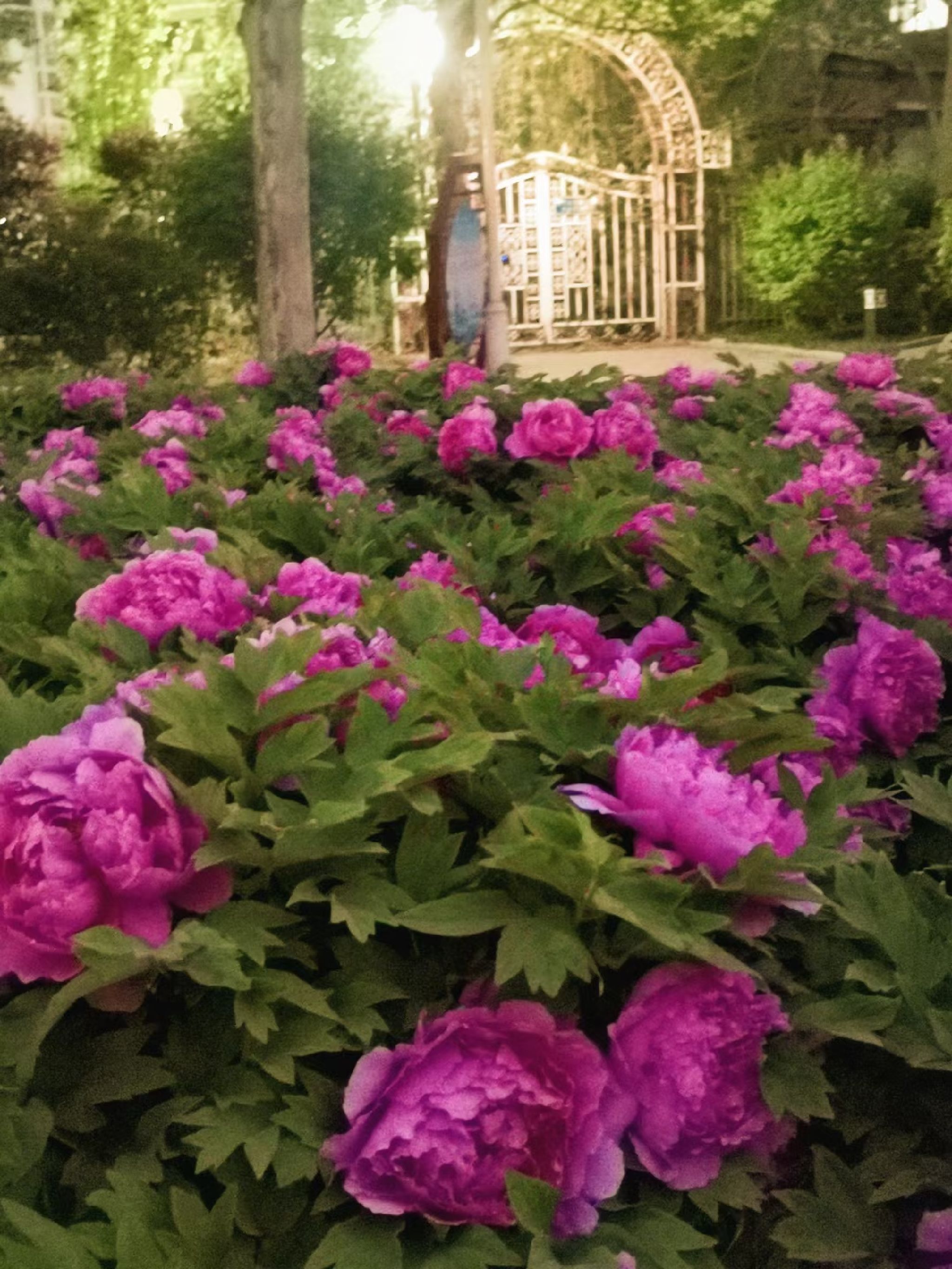 河滨公园旅行图片 3