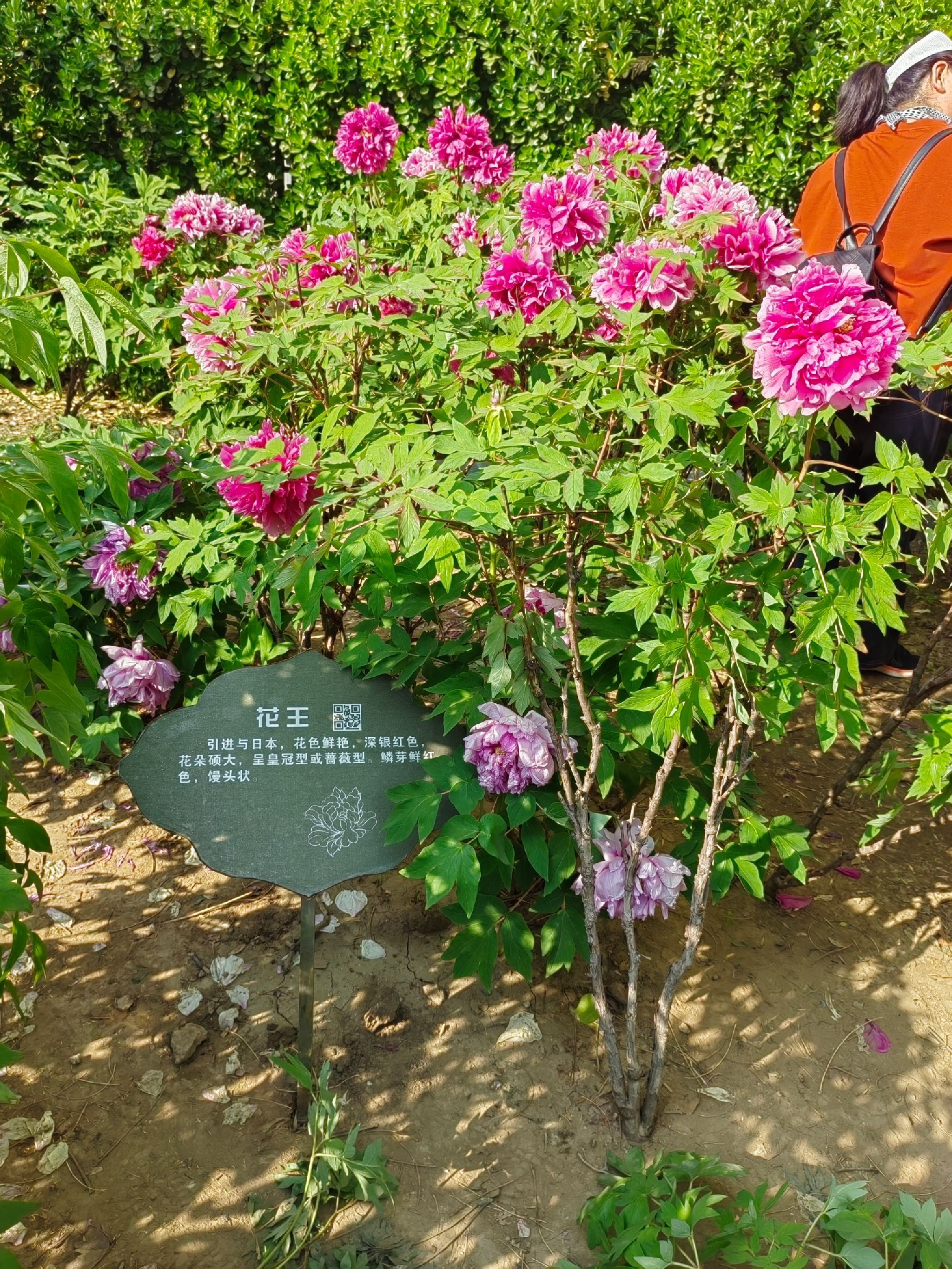河滨公园旅行图片 1