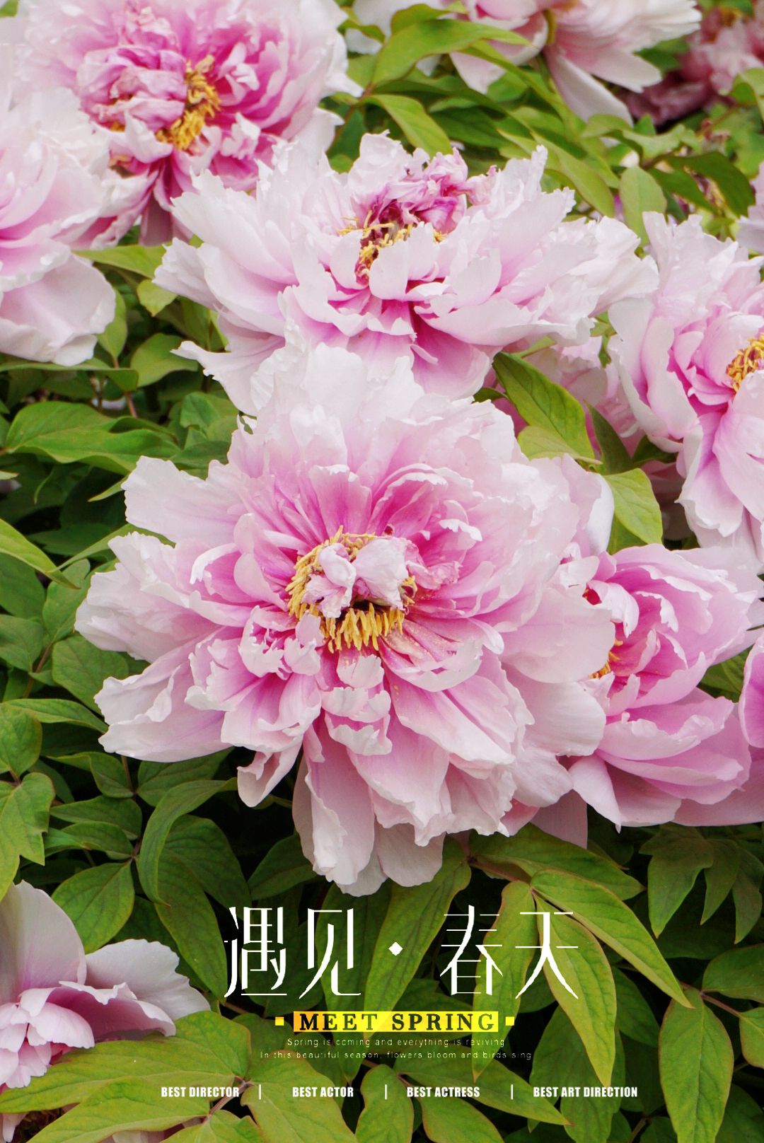 河滨公园旅行图片 2