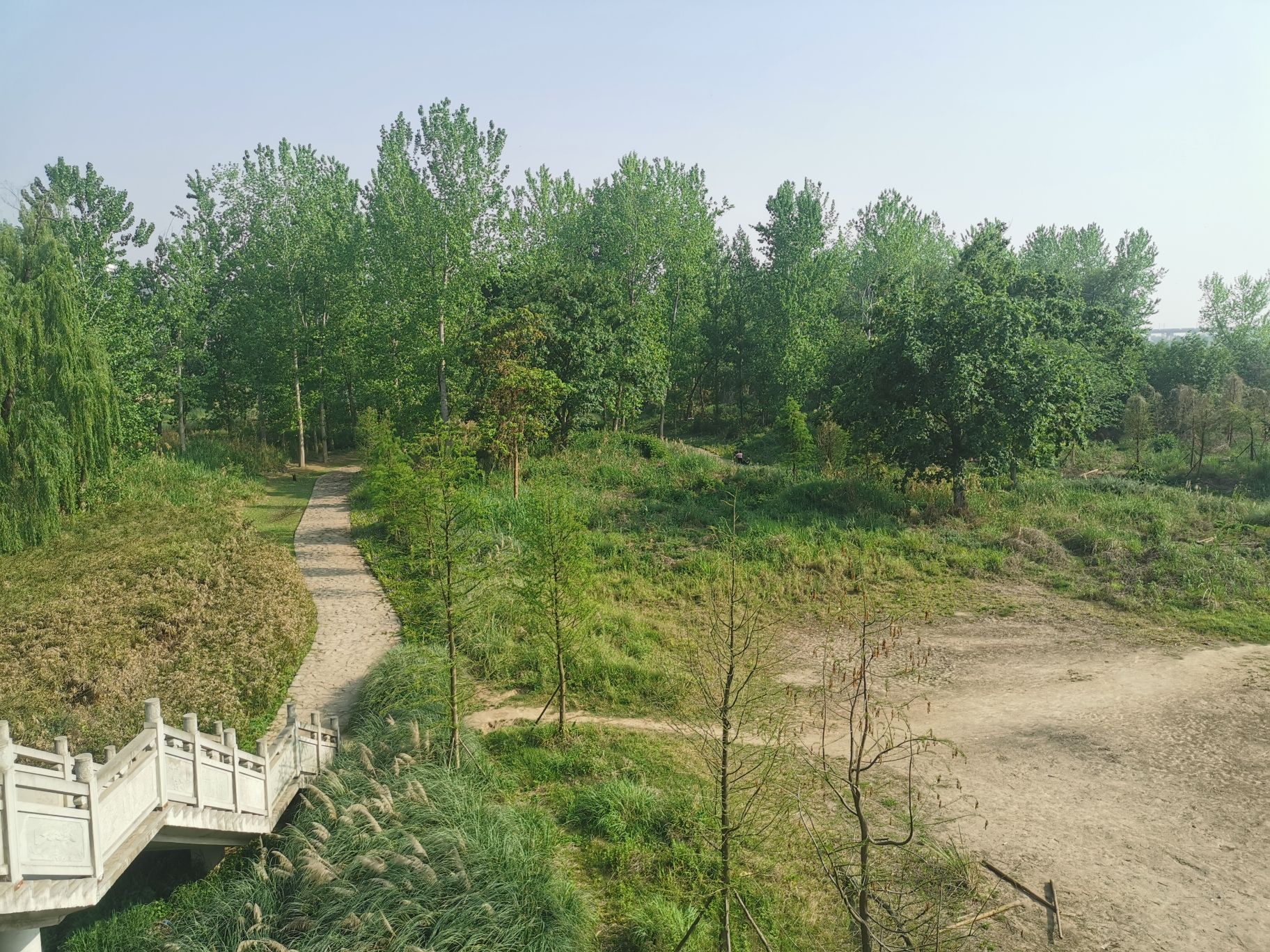 青年林湿地公园旅行图片 2