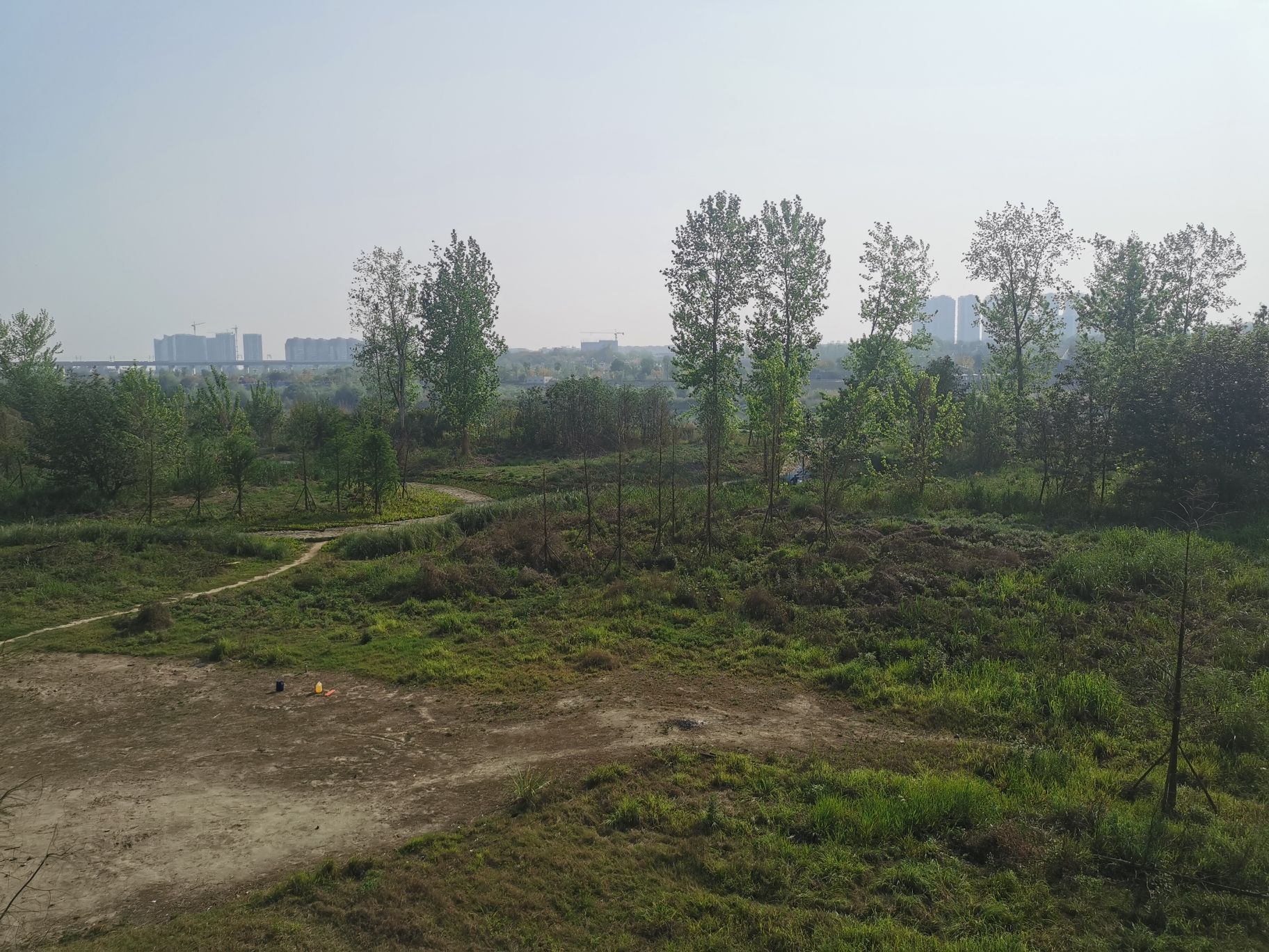 青年林湿地公园旅行图片 3