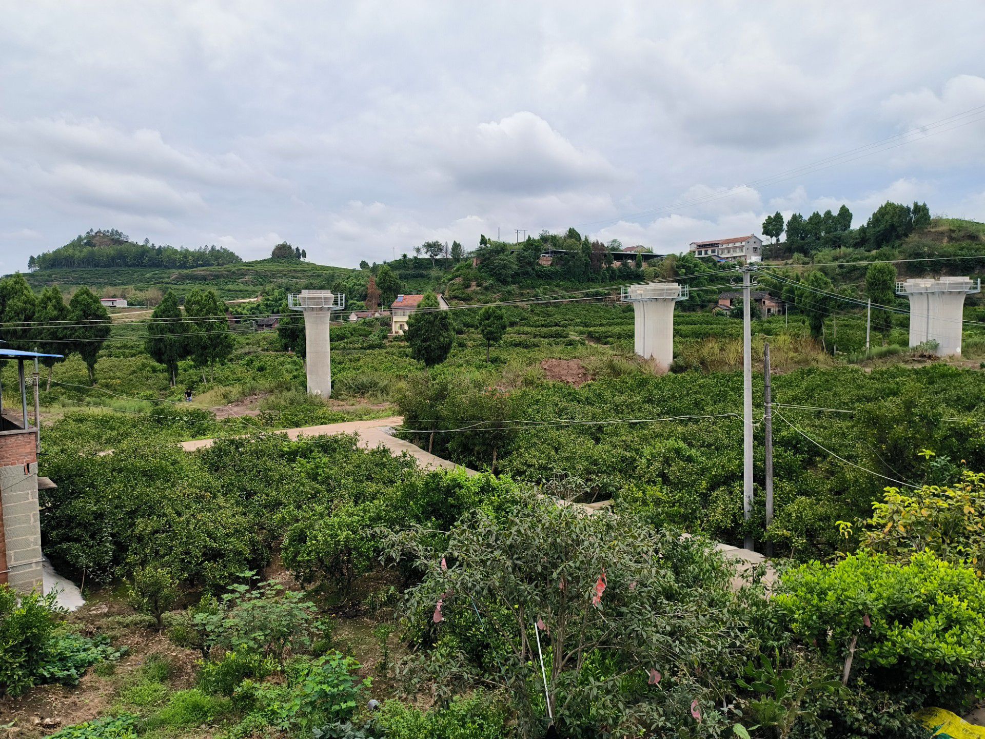 青年林湿地公园旅行图片 1