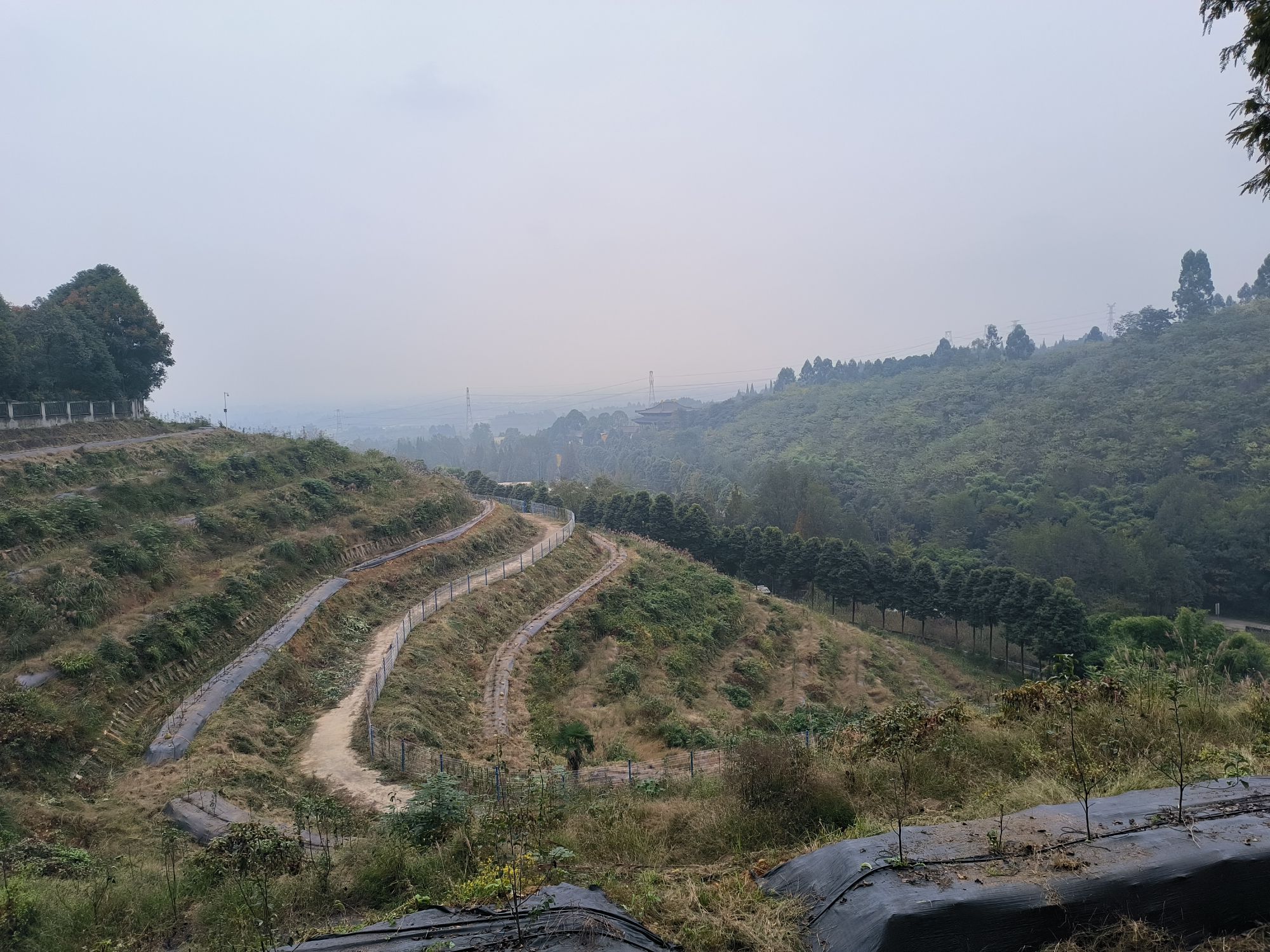青年林湿地公园旅行图片 2