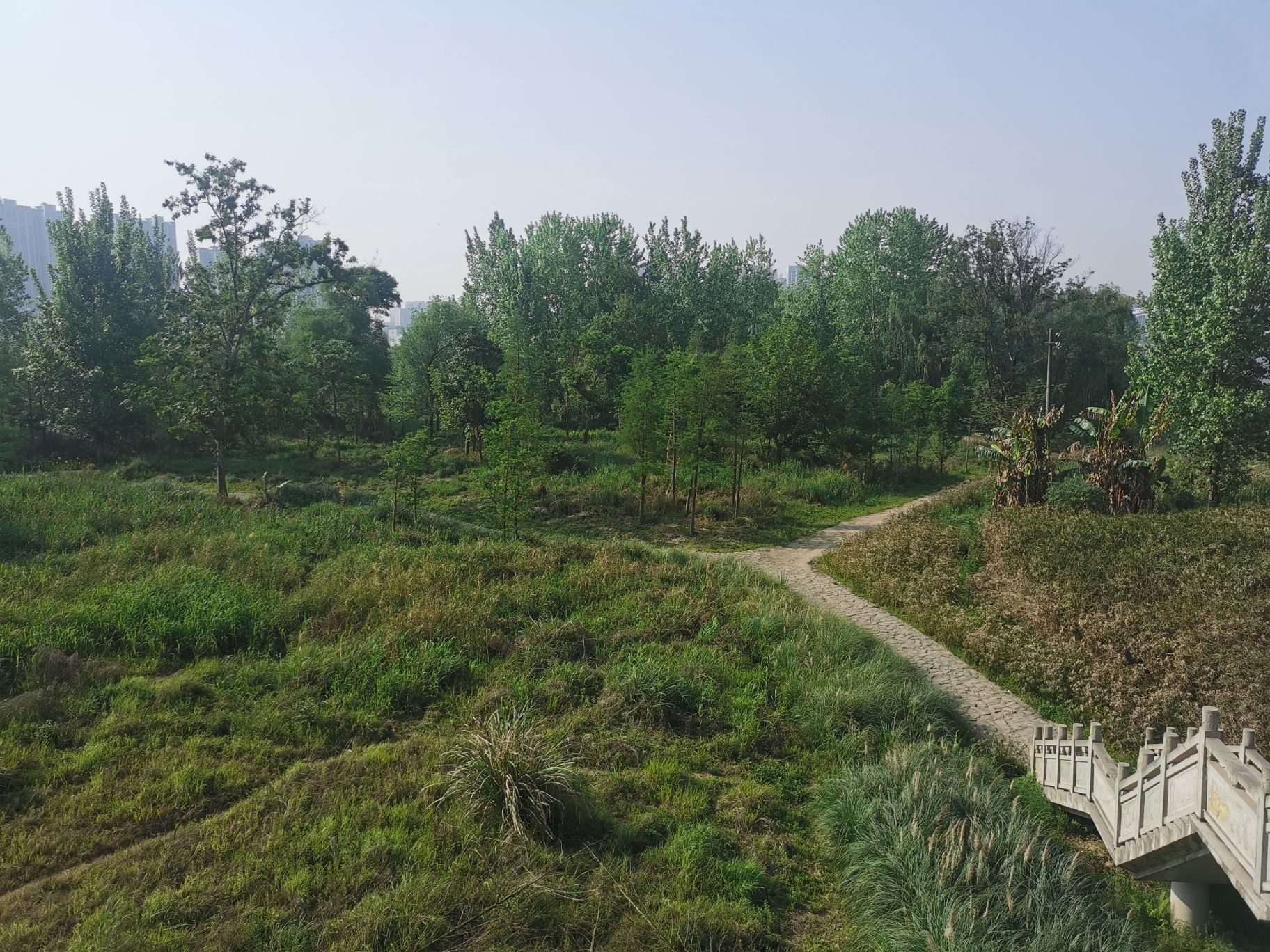 青年林湿地公园旅行图片 1