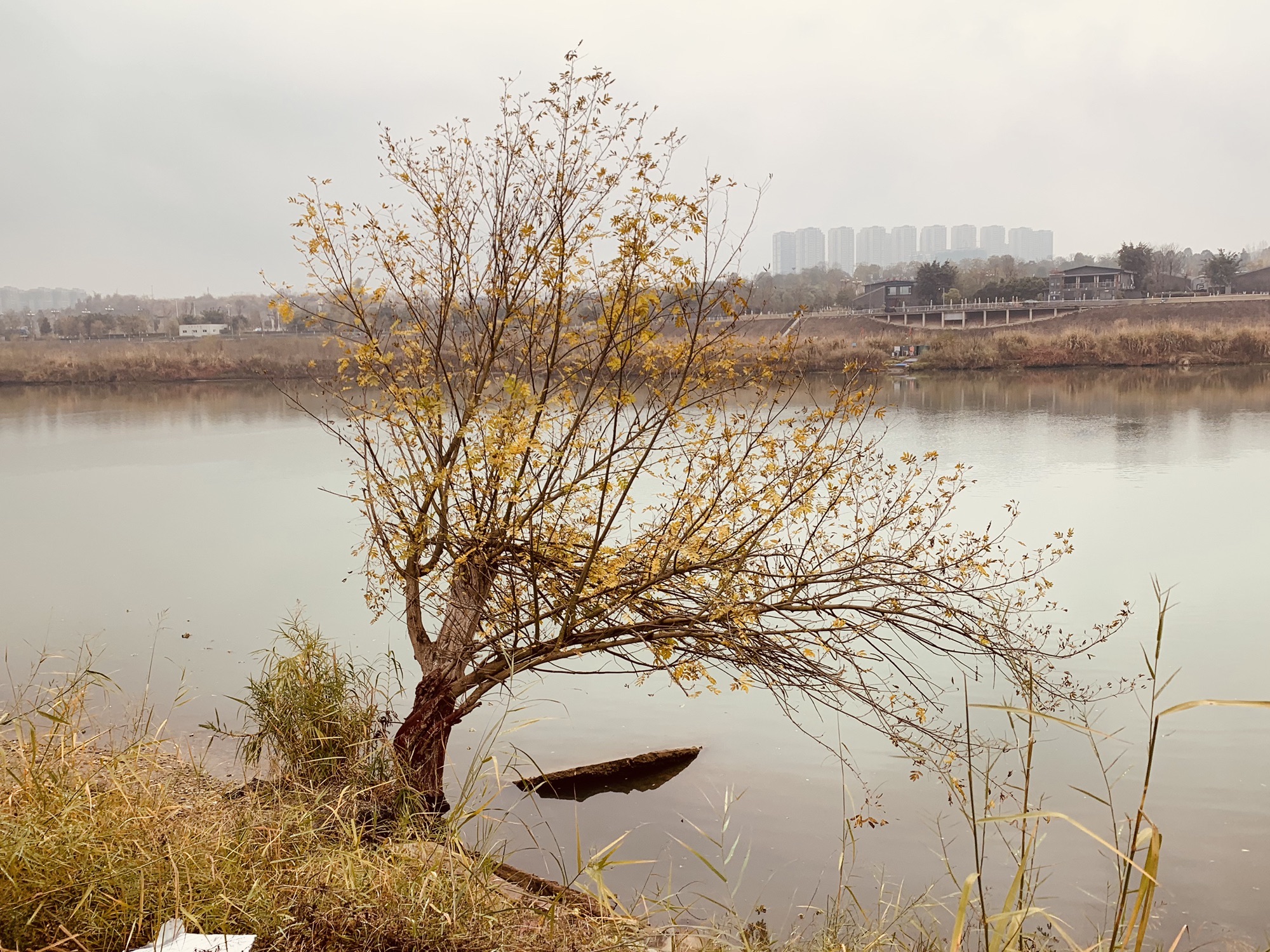 青年林湿地公园旅行图片 3