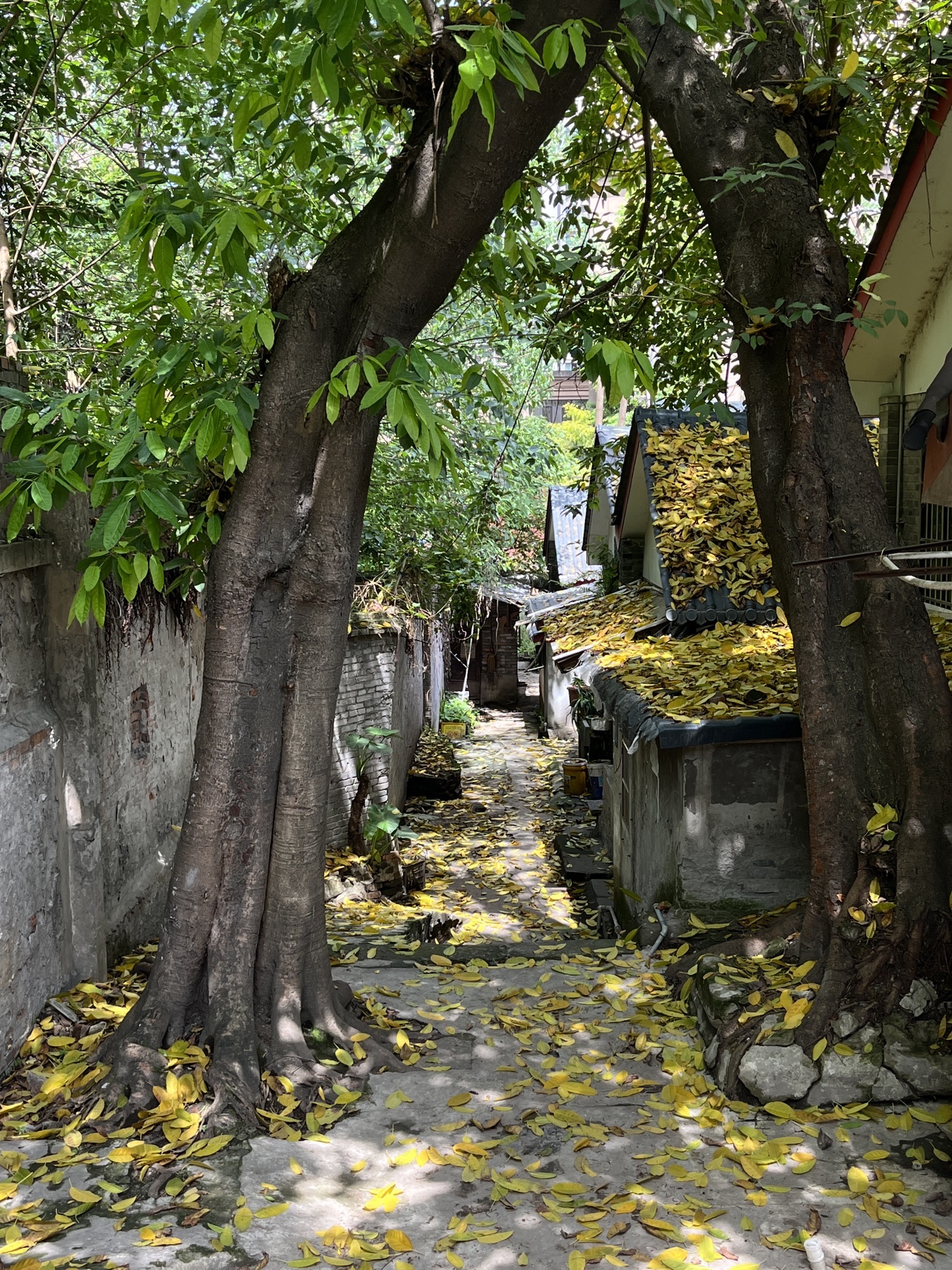 王久影视基地旅行图片 2