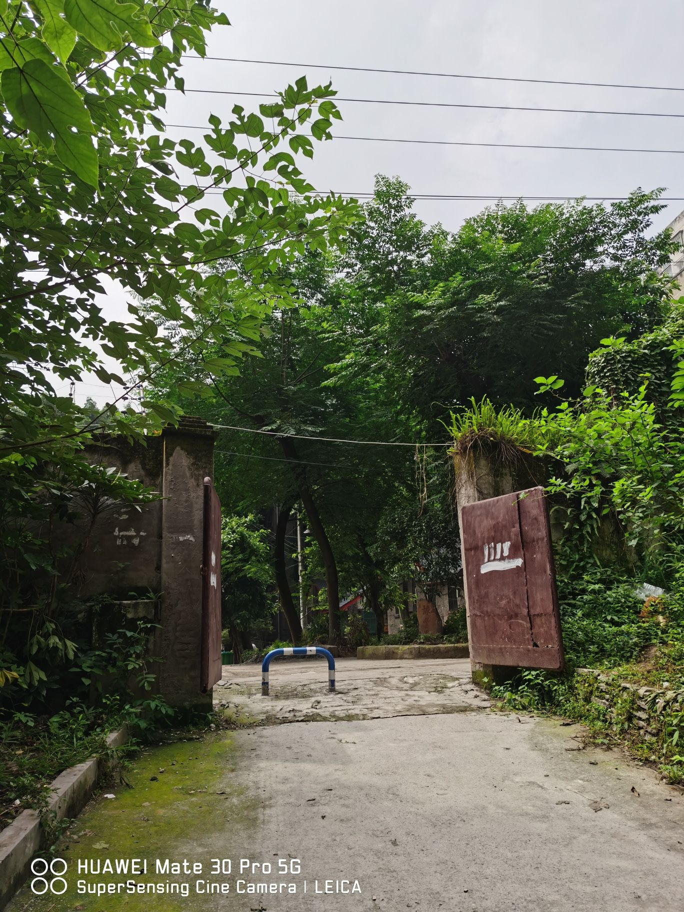 王久影视基地旅行图片 2