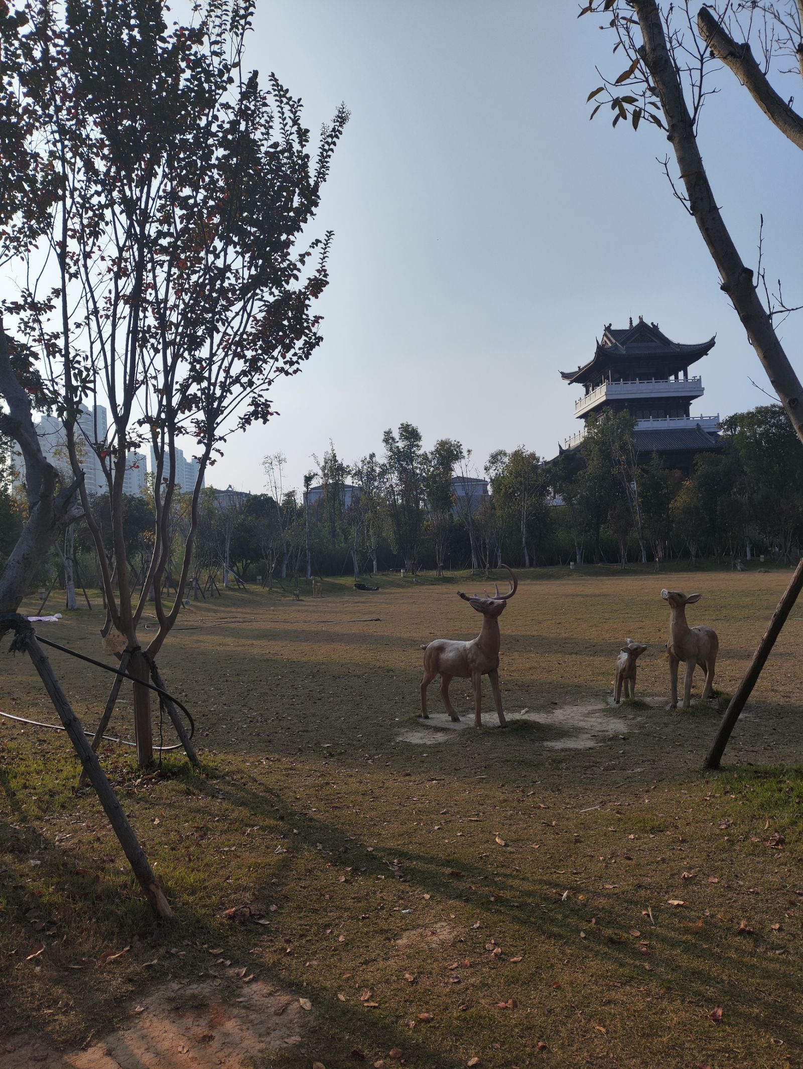 甘露寺公园旅行图片 1