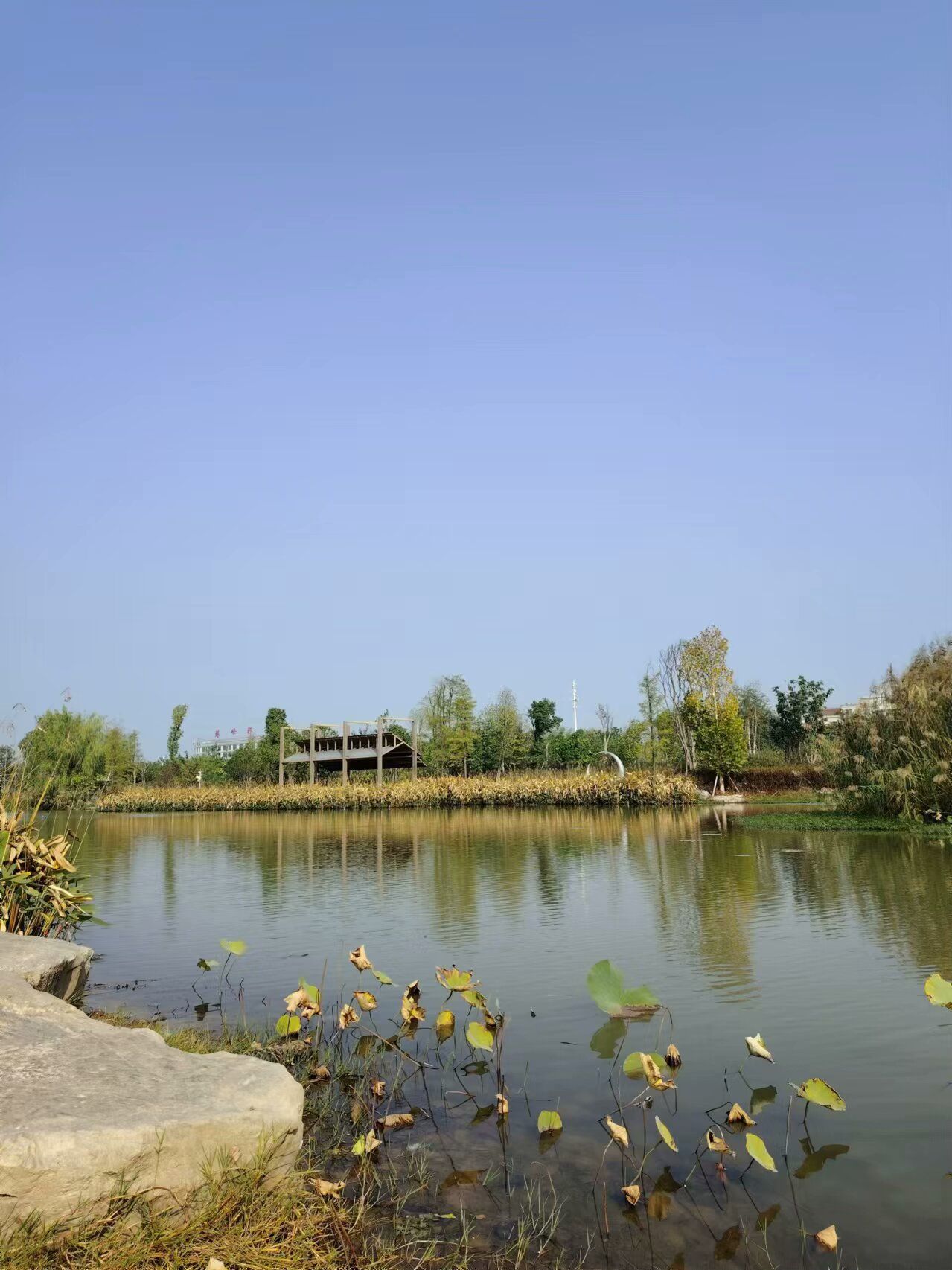 甘露寺公园旅行图片 3
