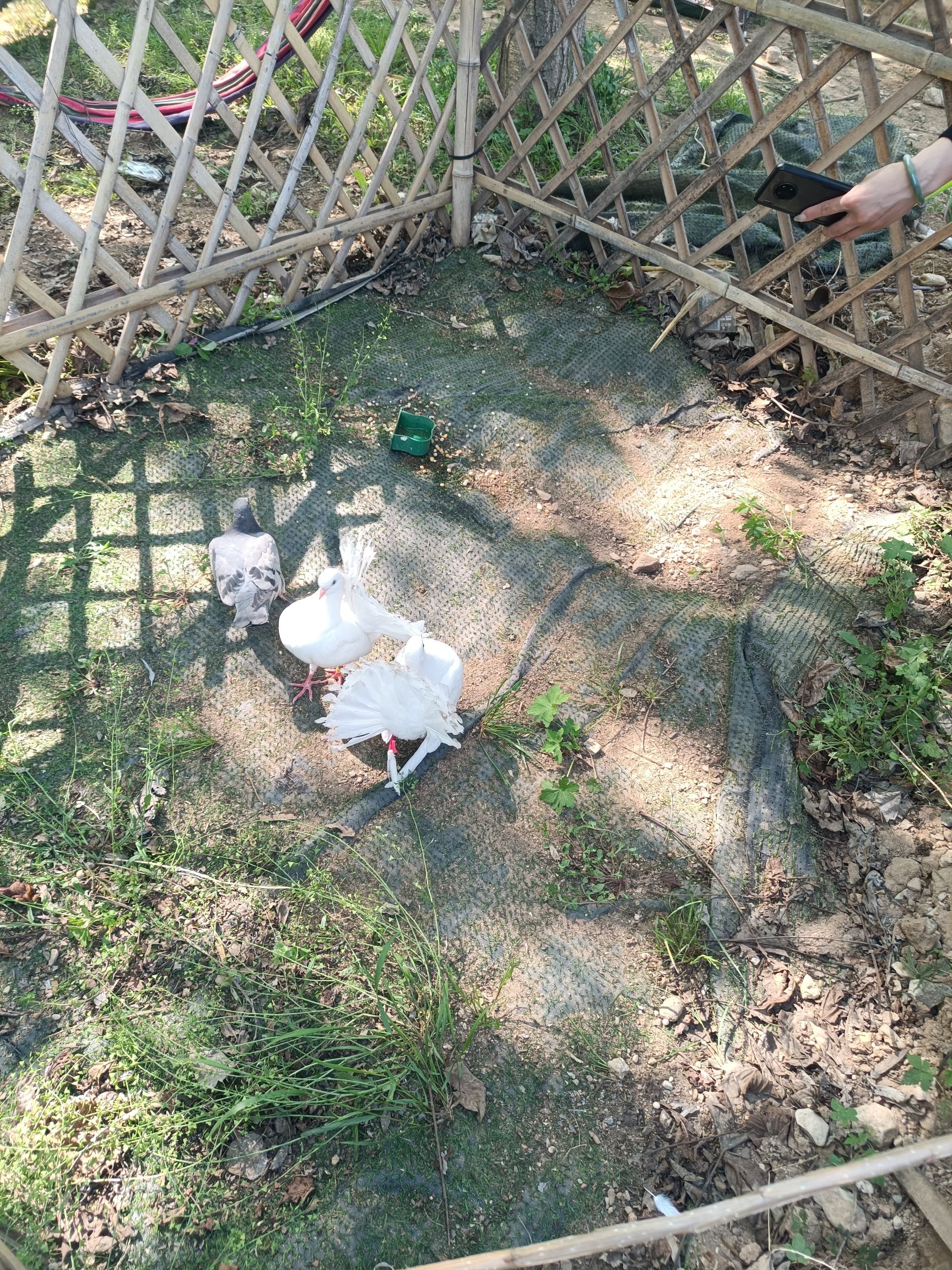 上林舍生态旅游度假区(暂停开放)旅行图片 1