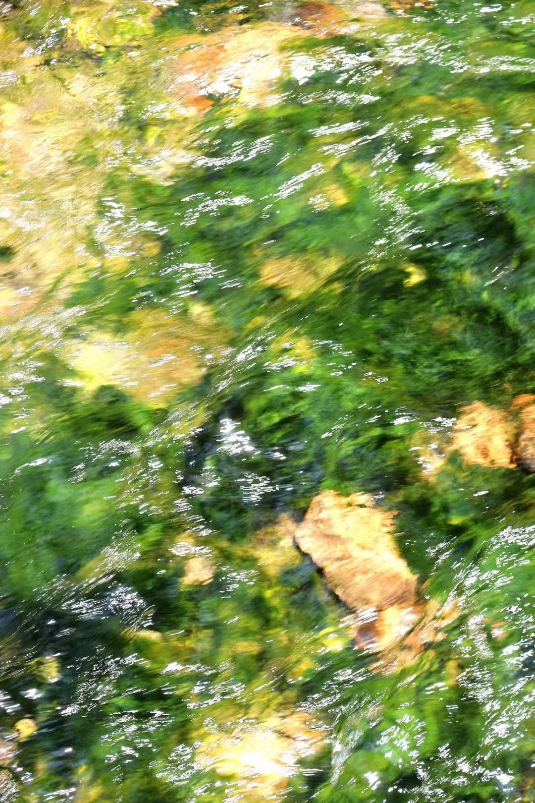 上林舍生态旅游度假区(暂停开放)旅行图片 2