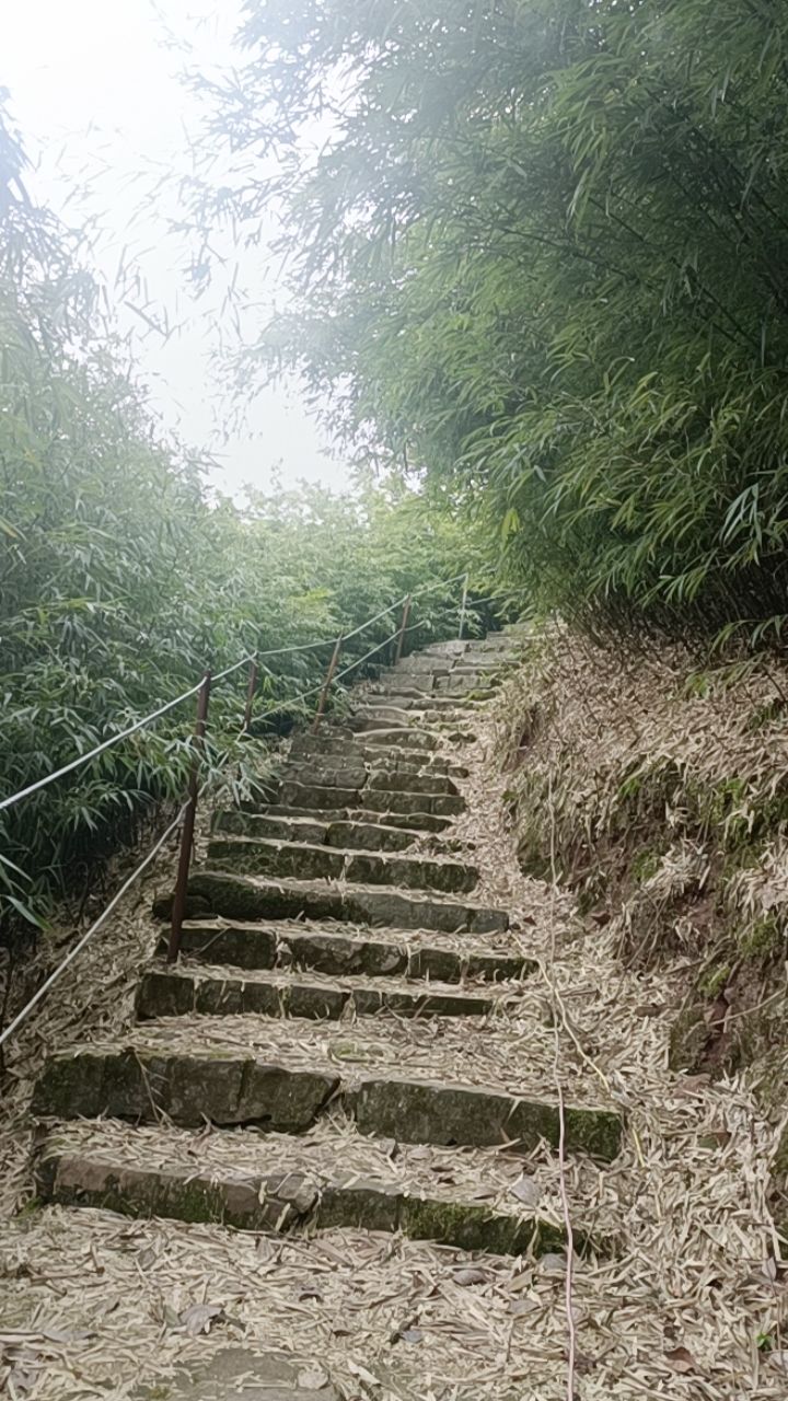 古佛台旅行图片 2