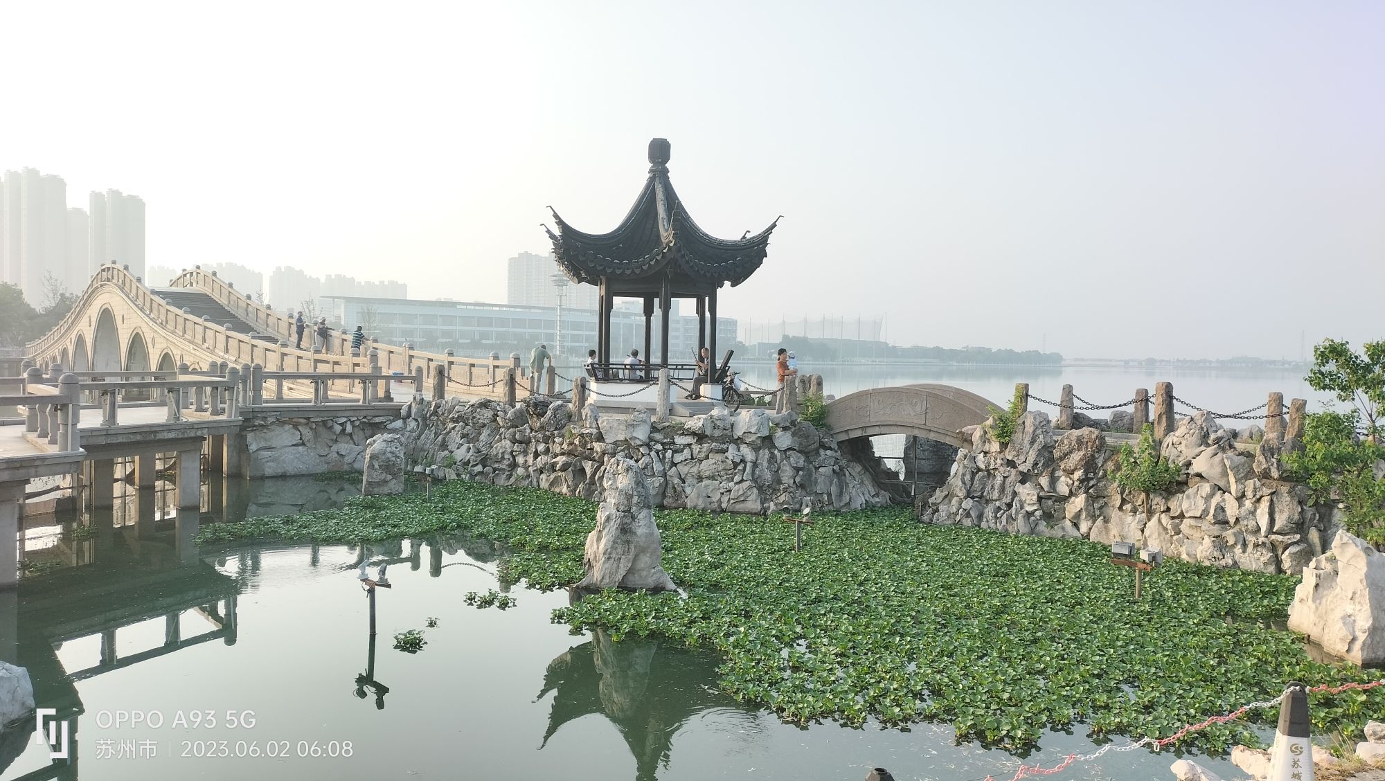 春申湖公园旅行图片 2