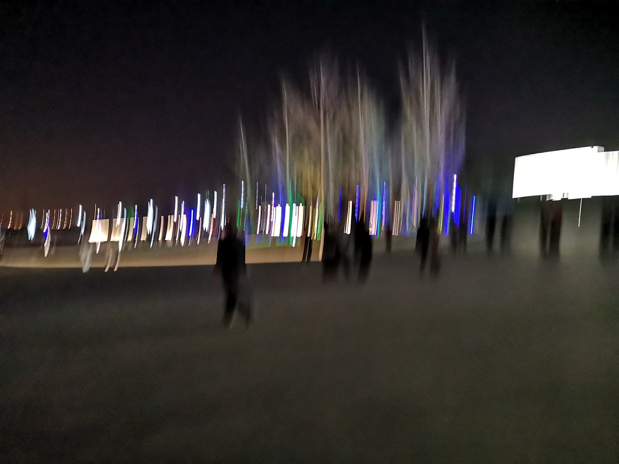春申湖公园旅行图片 1