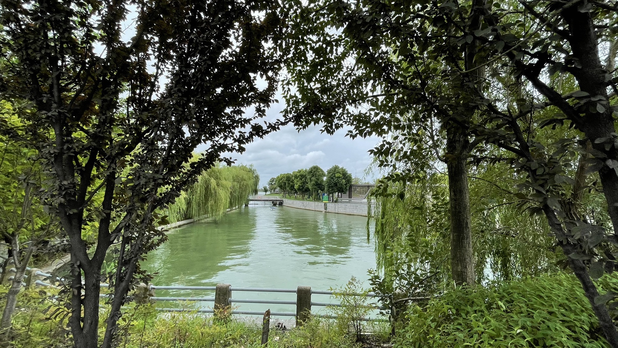 春申湖公园旅行图片 2