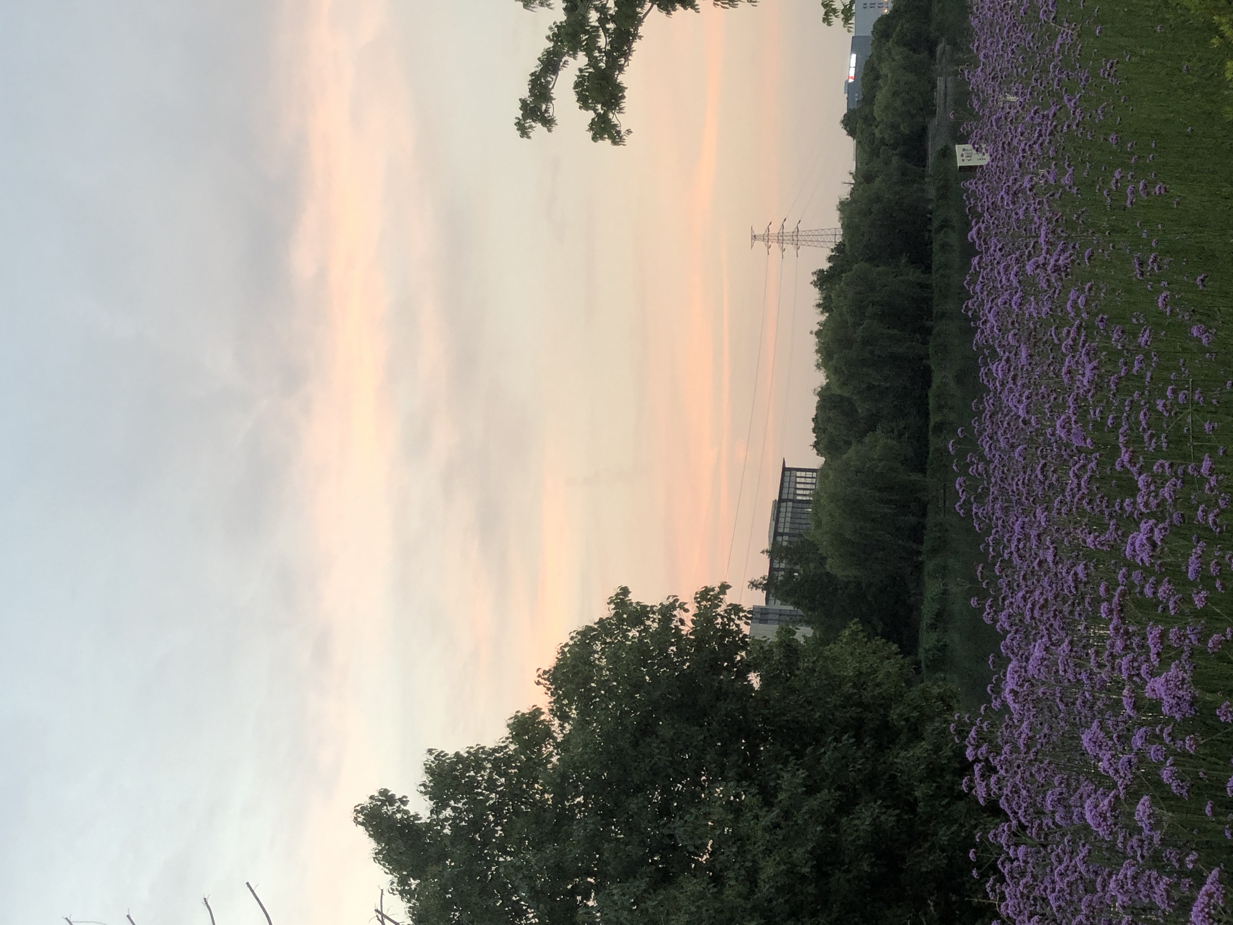 春申湖公园旅行图片 1