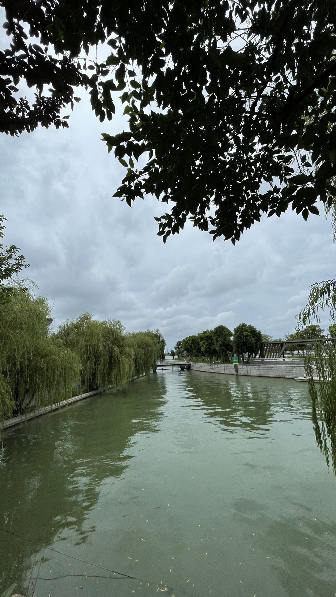 春申湖公园旅行图片 3