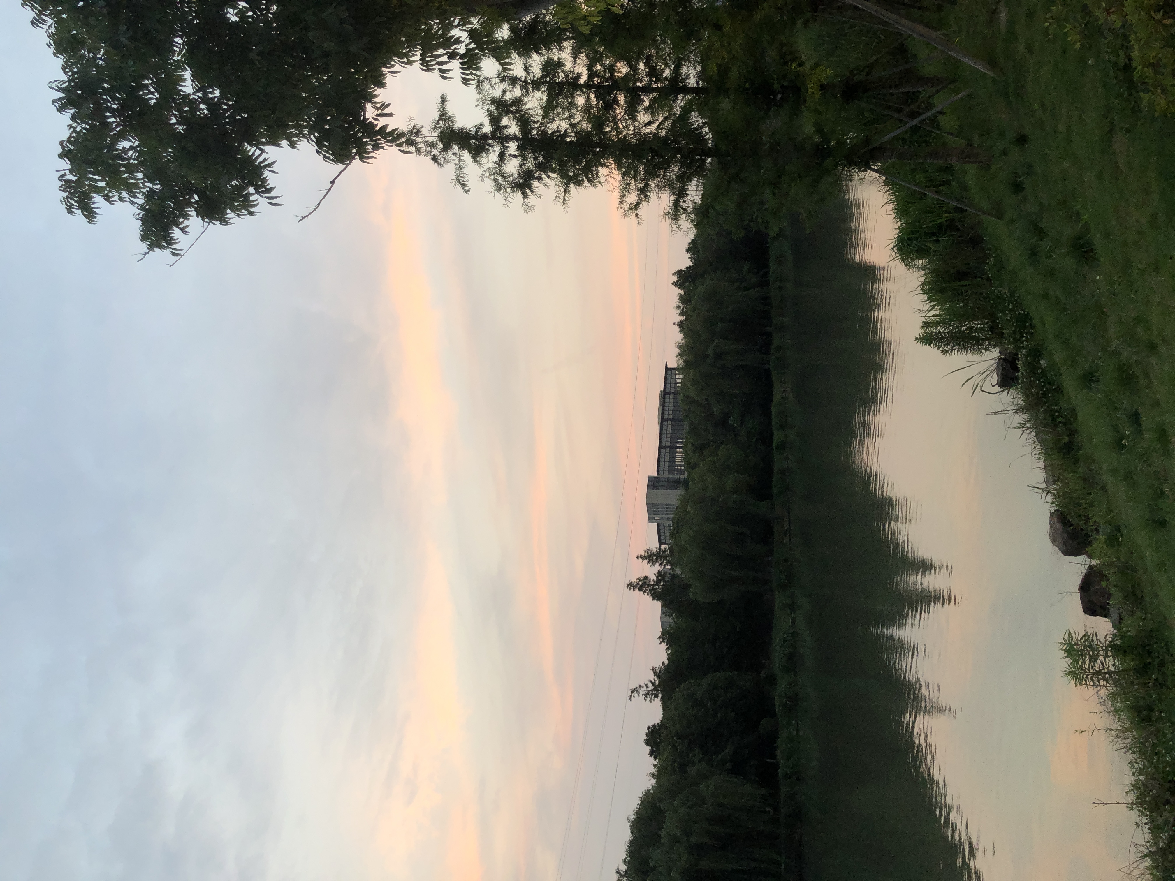 春申湖公园旅行图片 2