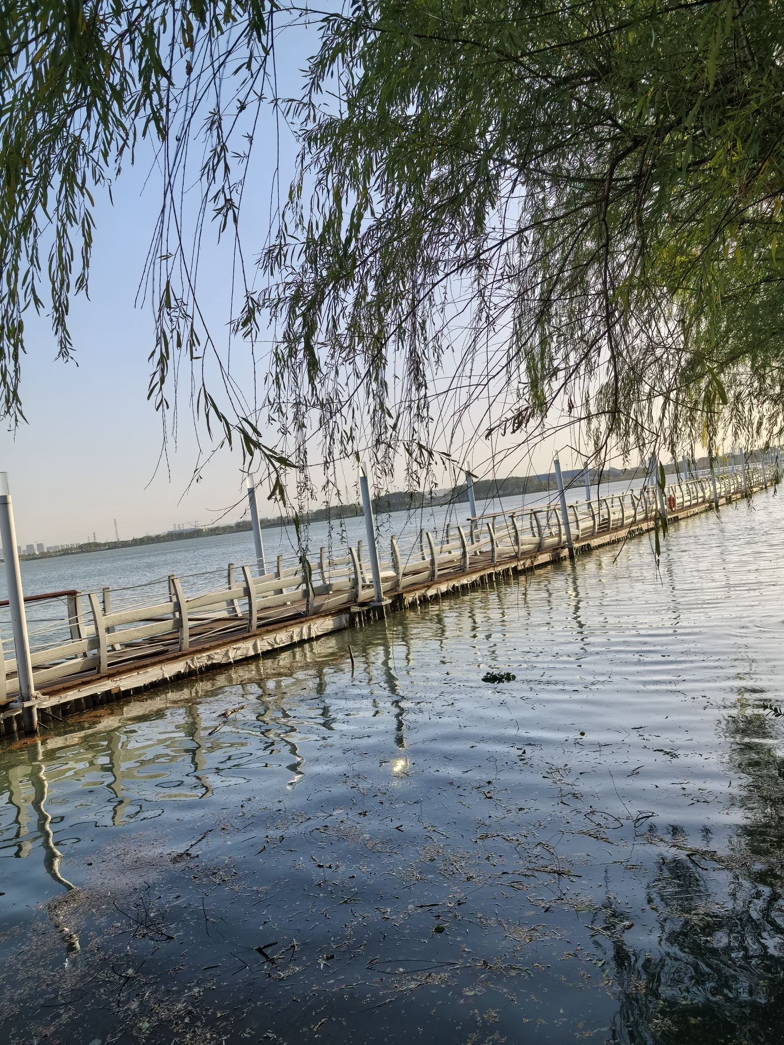 春申湖公园旅行图片 1