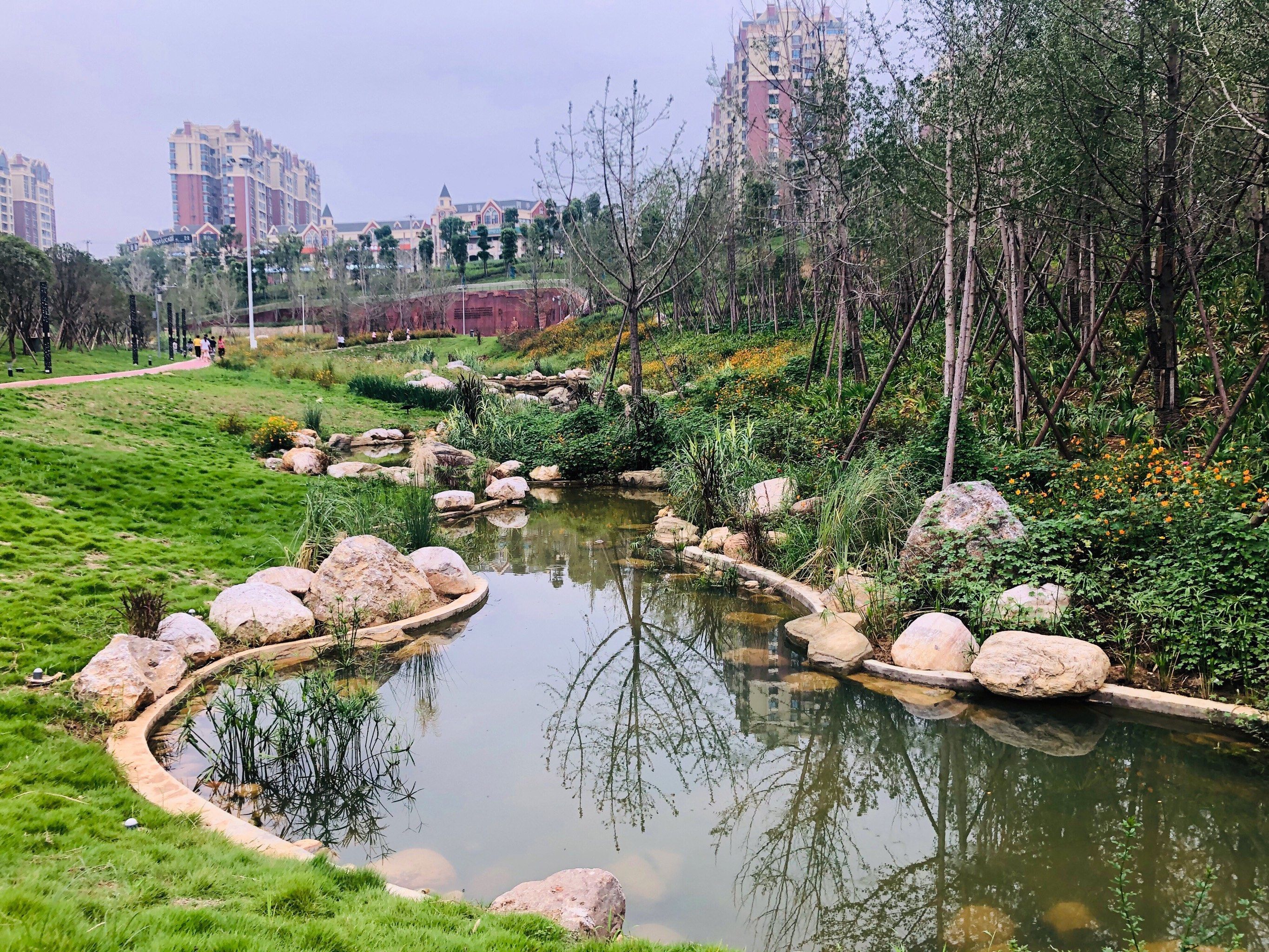 科技城人才公园旅行图片 1