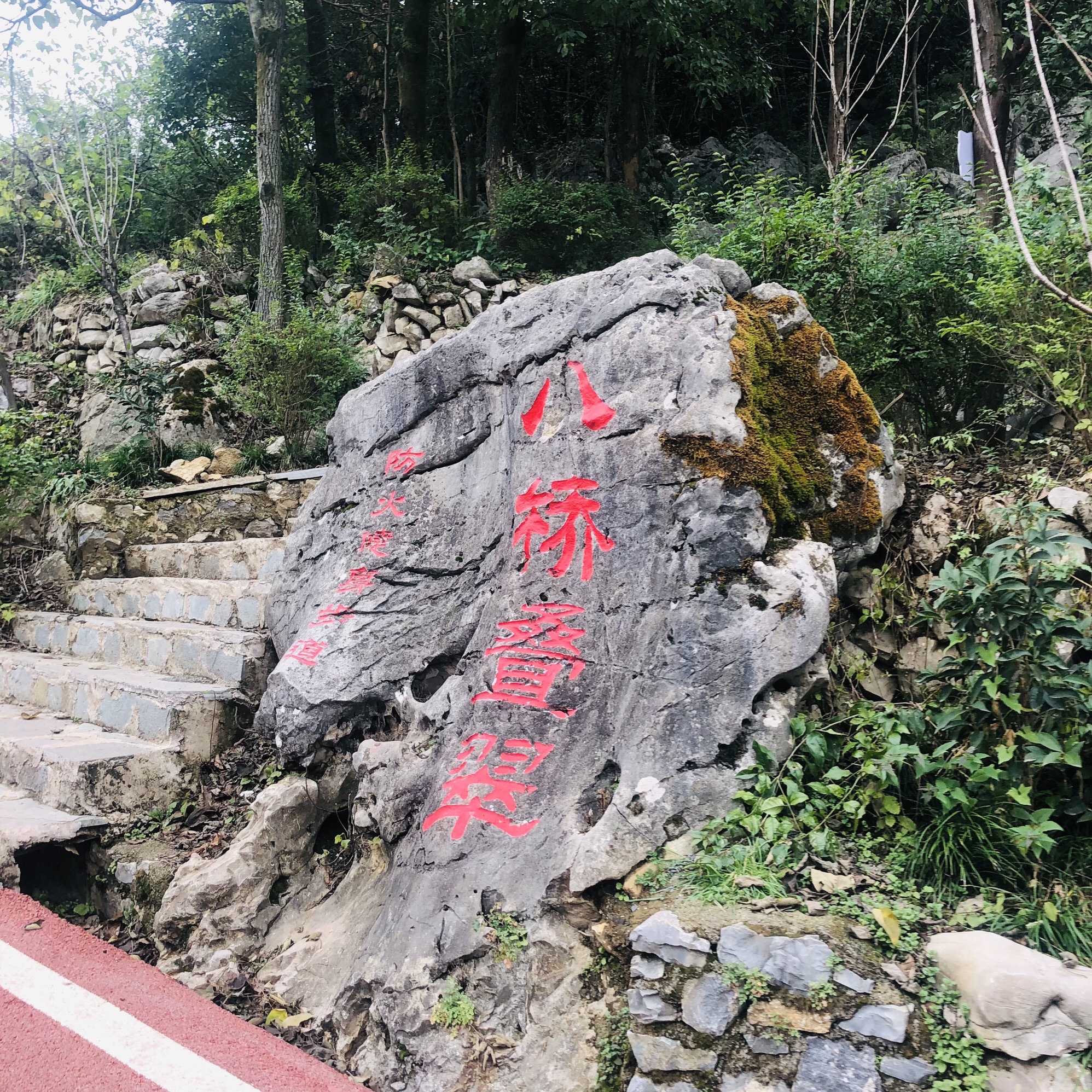 八桥叠翠观景台旅行图片 2