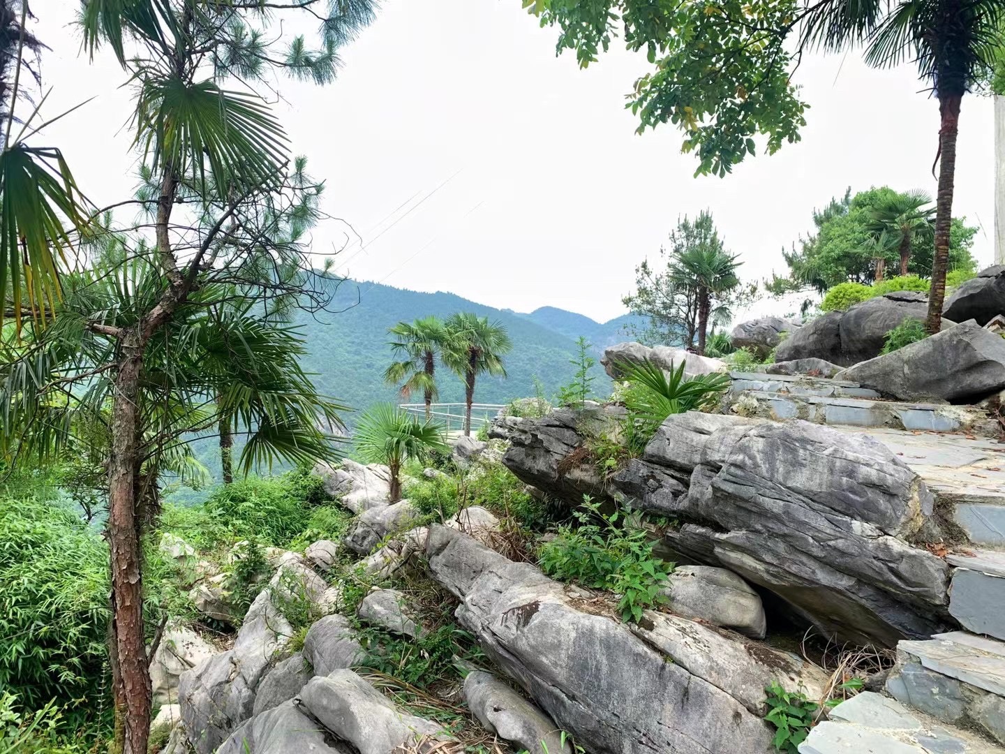 八桥叠翠观景台旅行图片 3