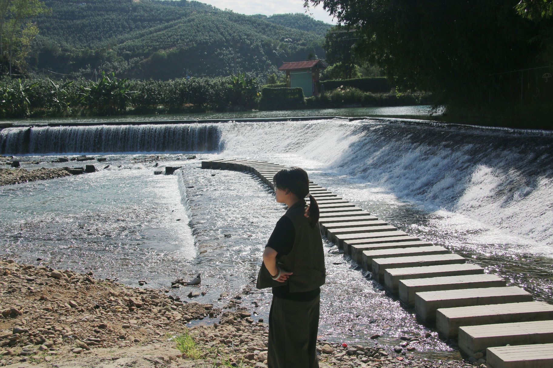 寨仔脚莲花寺实景照片