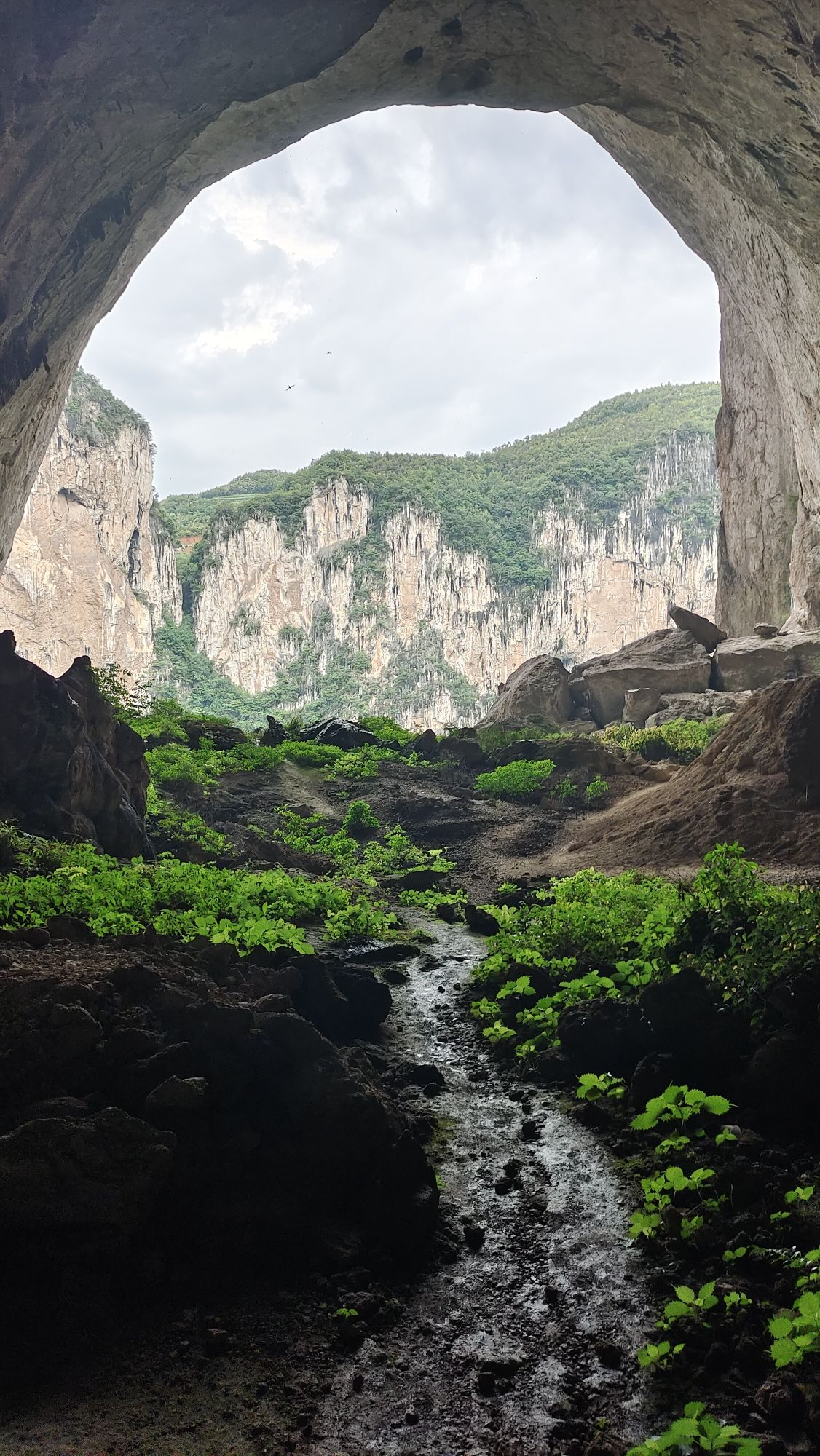 神雕峰旅行图片 3
