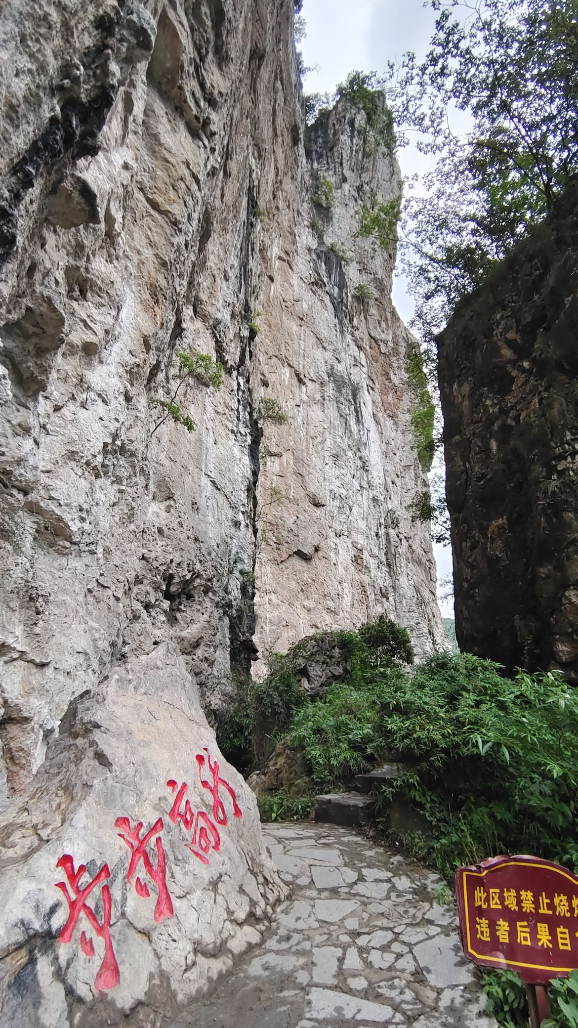 神雕峰旅行图片 2