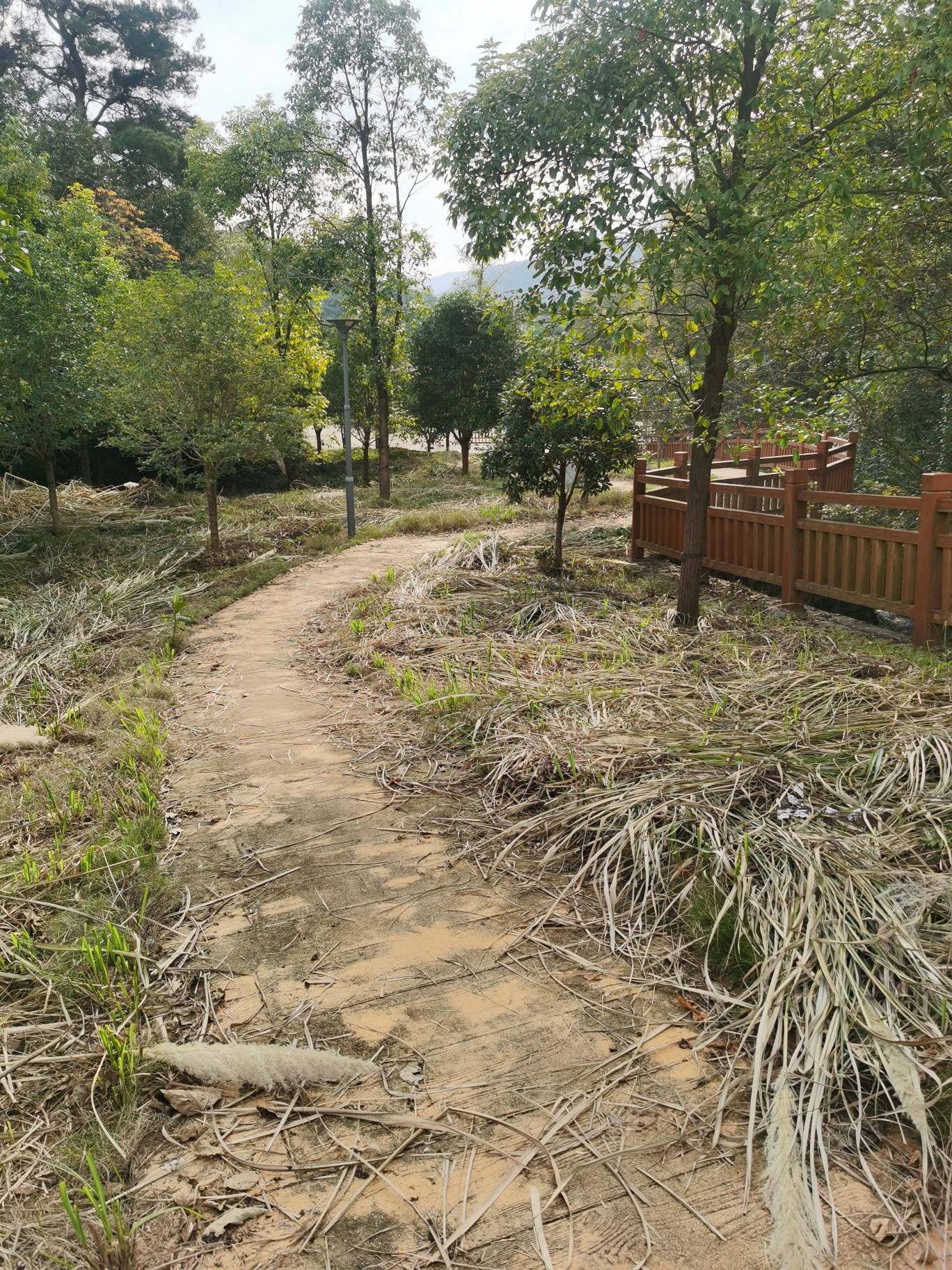 白水岩旅游景点旅行图片 3