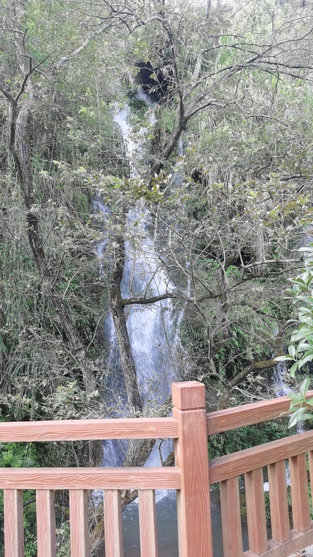 白水岩旅游景点旅行图片 2