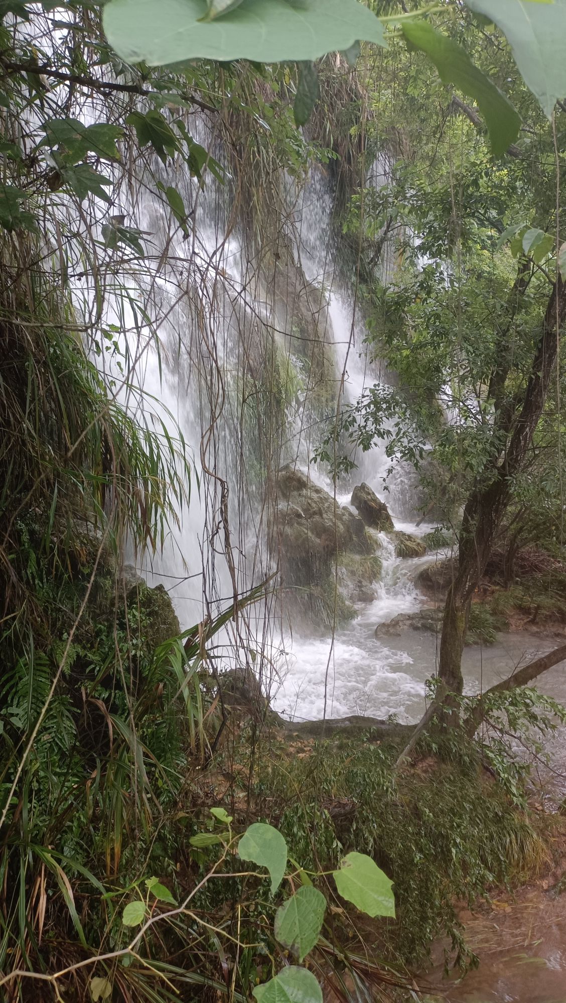 白水岩旅游景点旅行图片 1