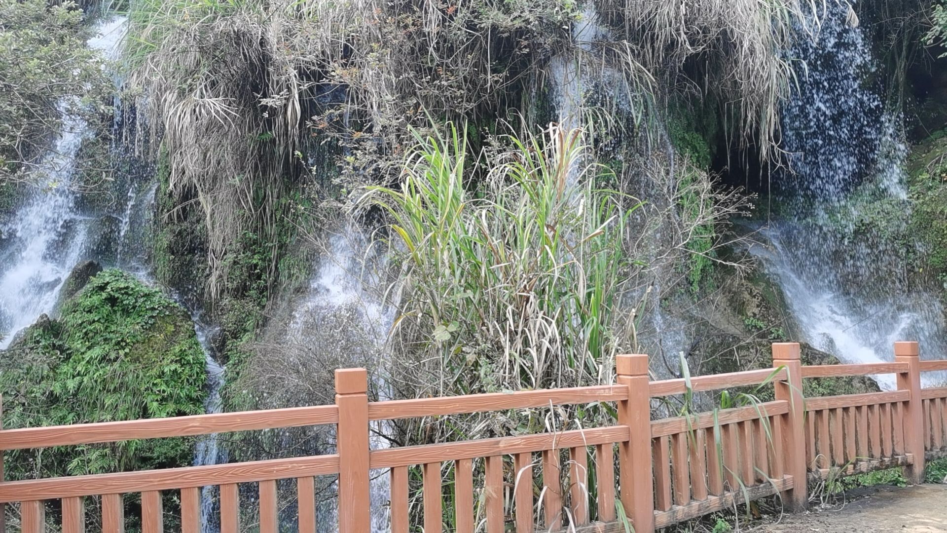 白水岩旅游景点旅行图片 1