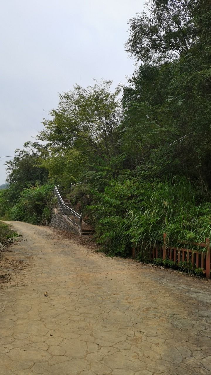 白水岩旅游景点